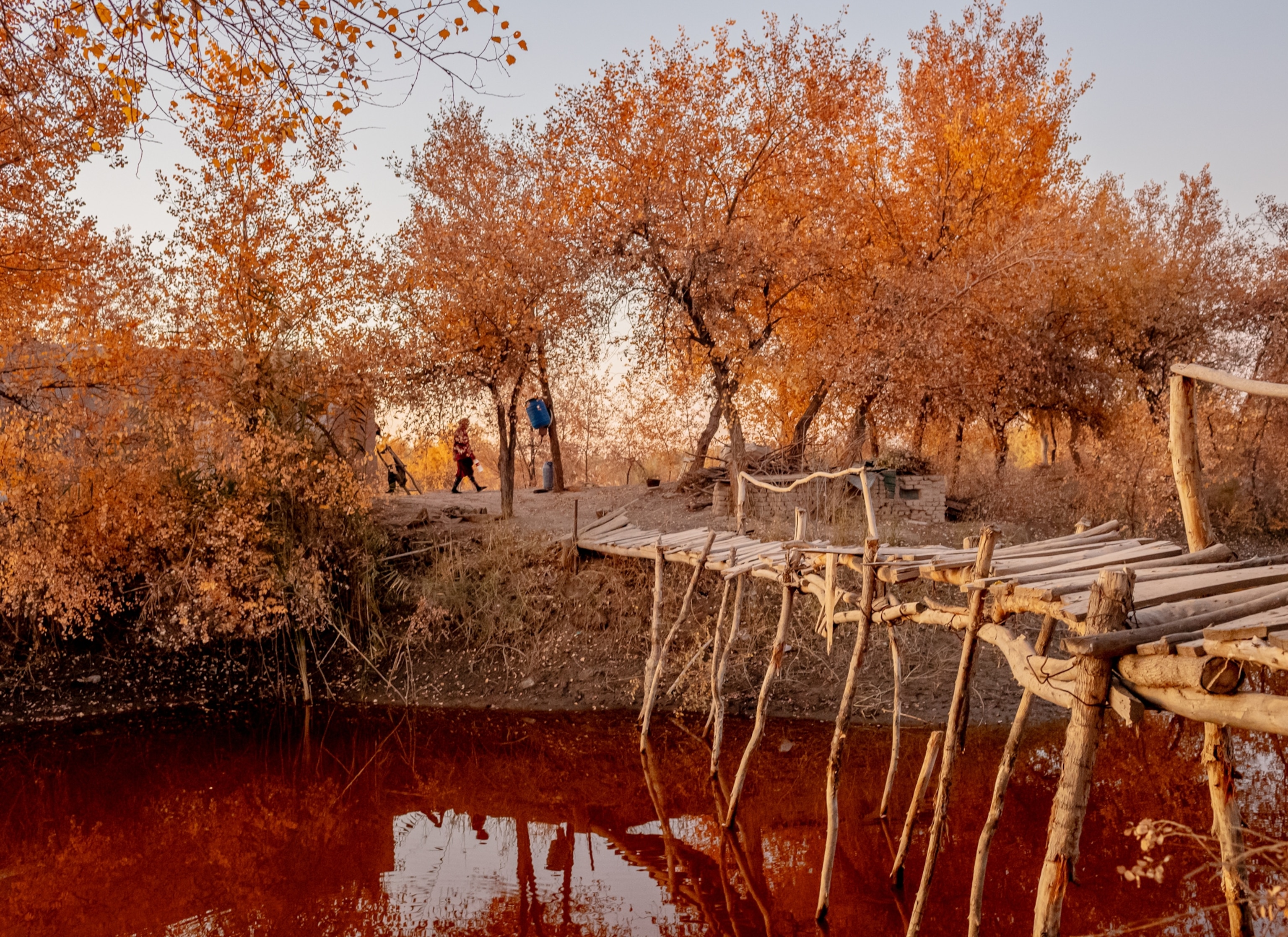 Primitive wooden bridge over river's red water. People on the background under colder trees.