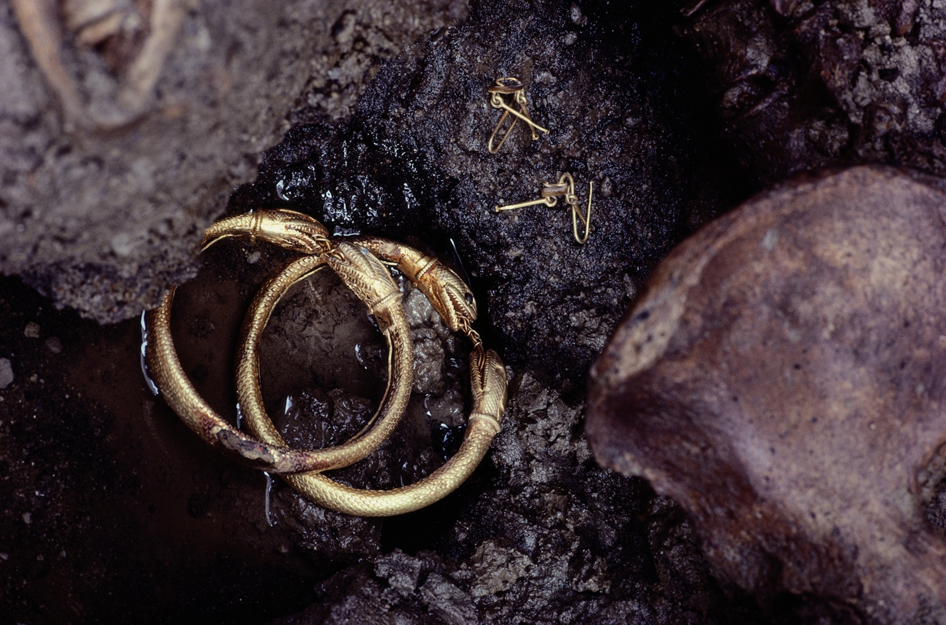 Jewelry is found on a victim of Mount Vesuvius' ancient eruption.