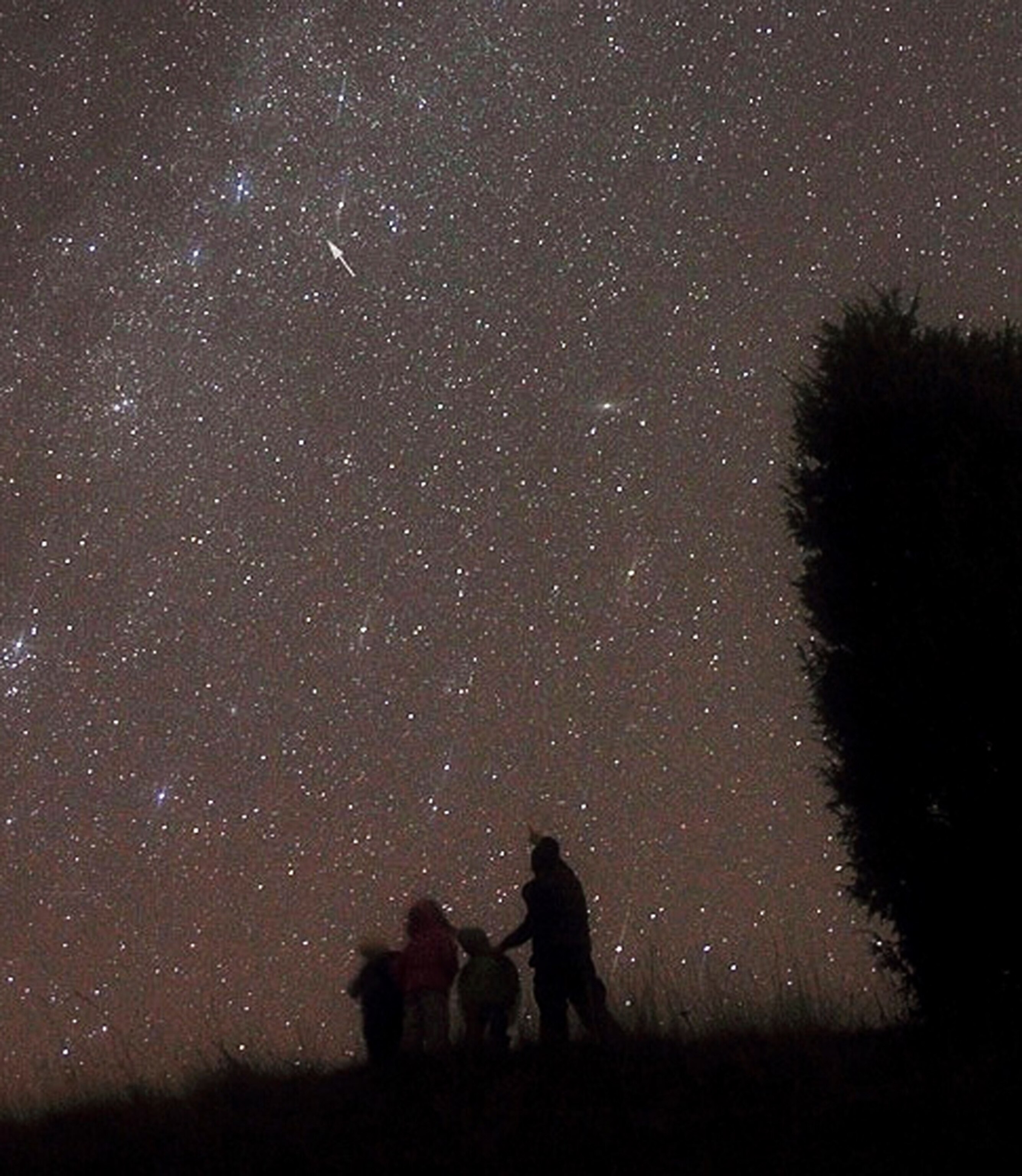people looking at the night sky, including the comet Hartley 2.