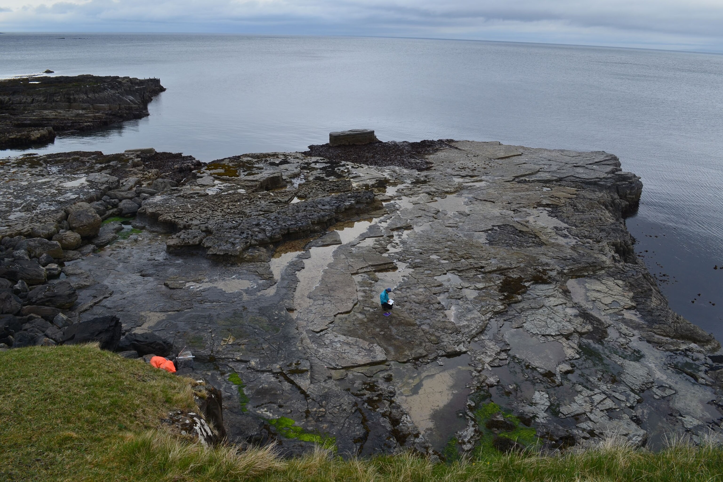 Bendricks Rocks Huge Dinosaur Footprints Discovered on Scottish Coast
