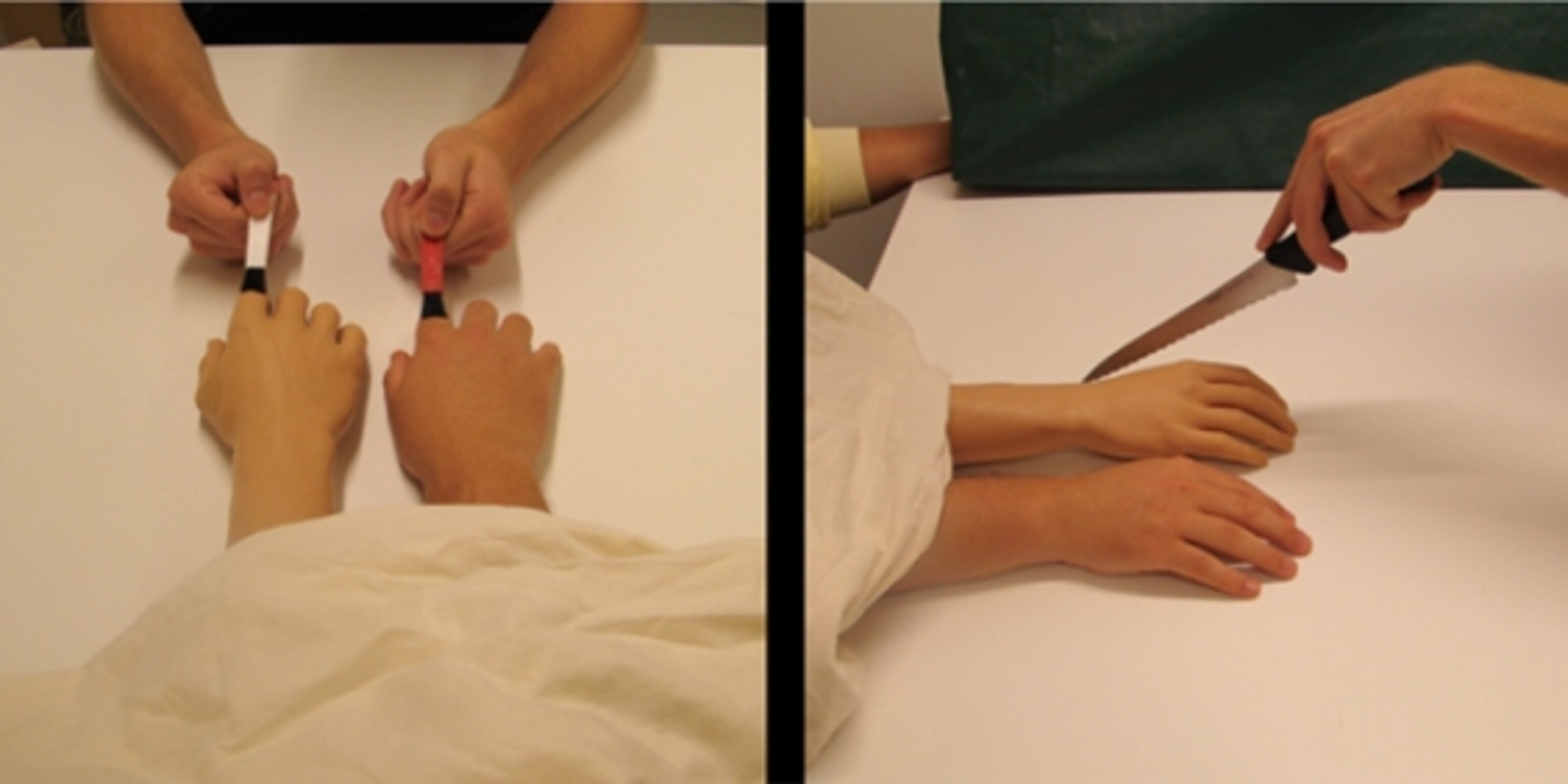 The Beeblebrox Illusion scientists convince people they have three arms