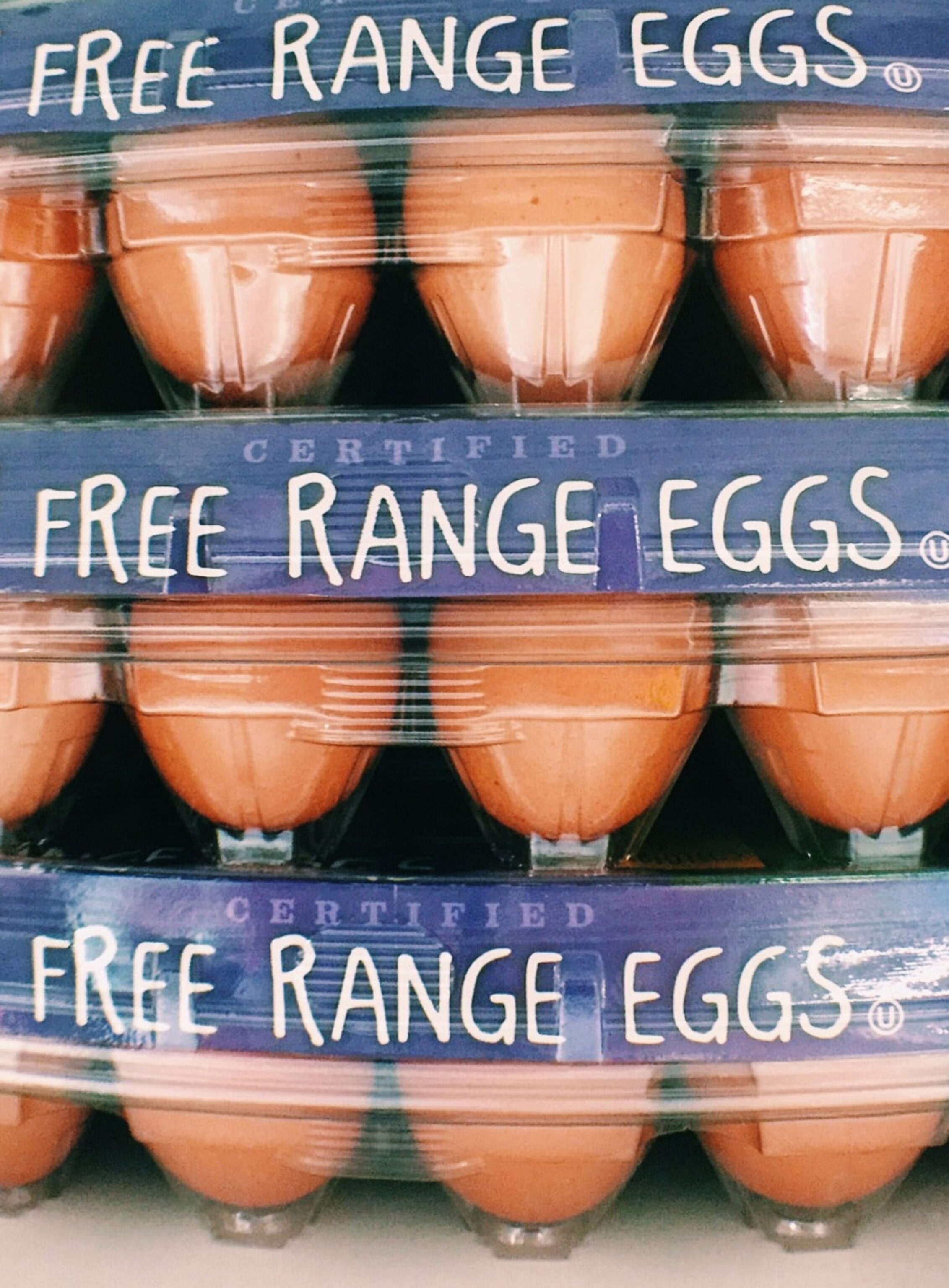 free-range-eggs-food-labels-vertical-2