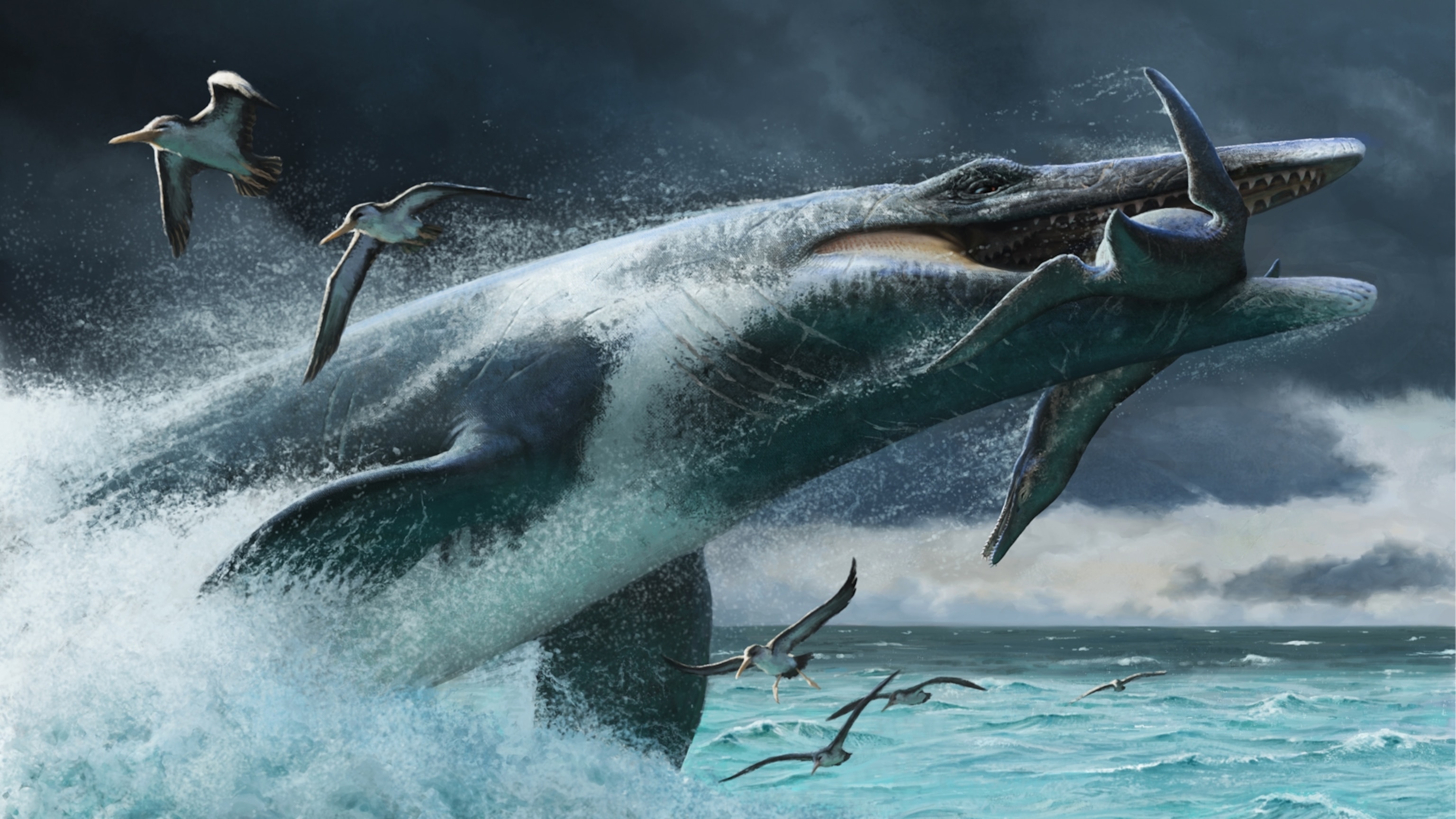 This Cretaceous 'Sea Monster' Attacked Prey Faster than Great White Sharks