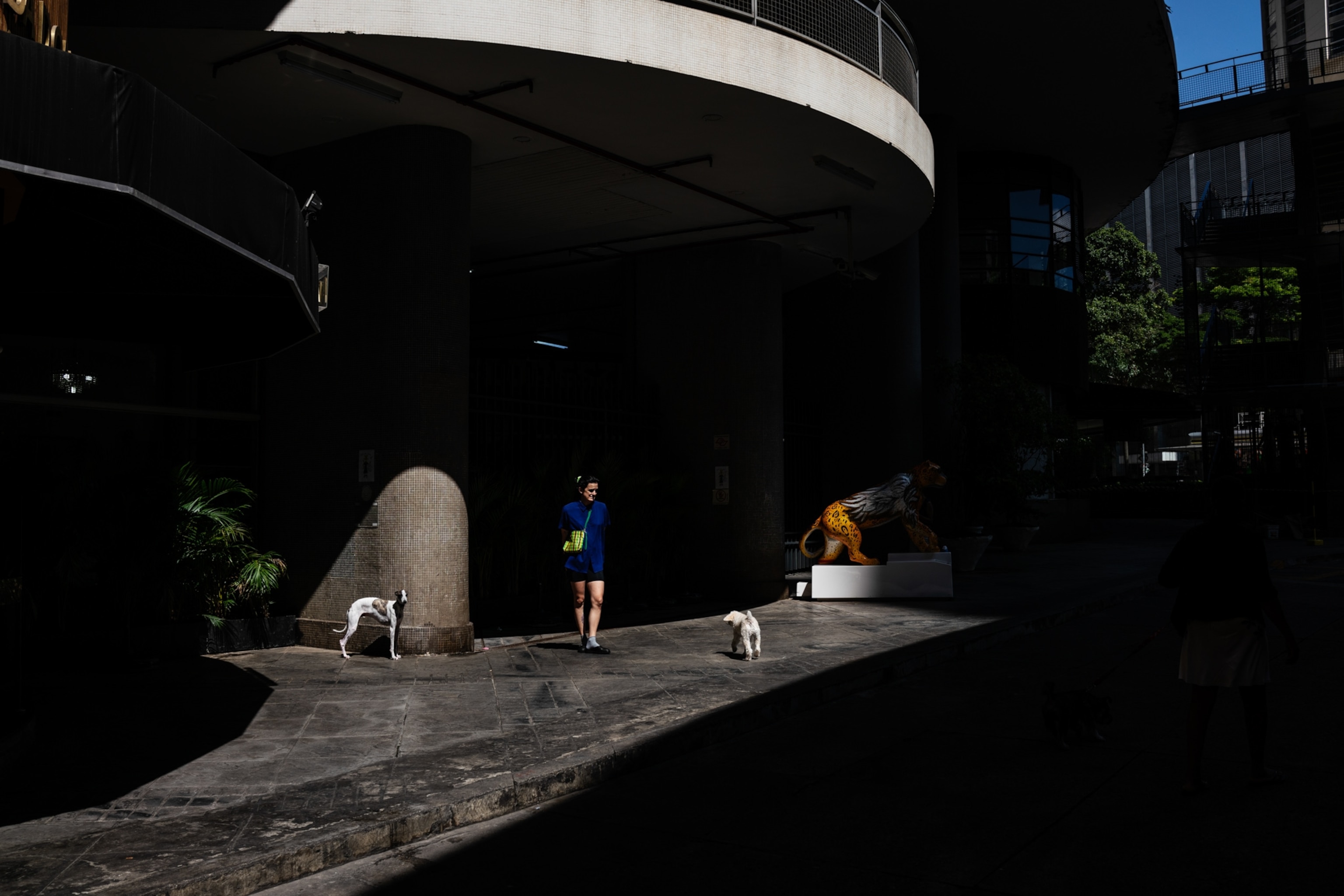a woman walking her dog