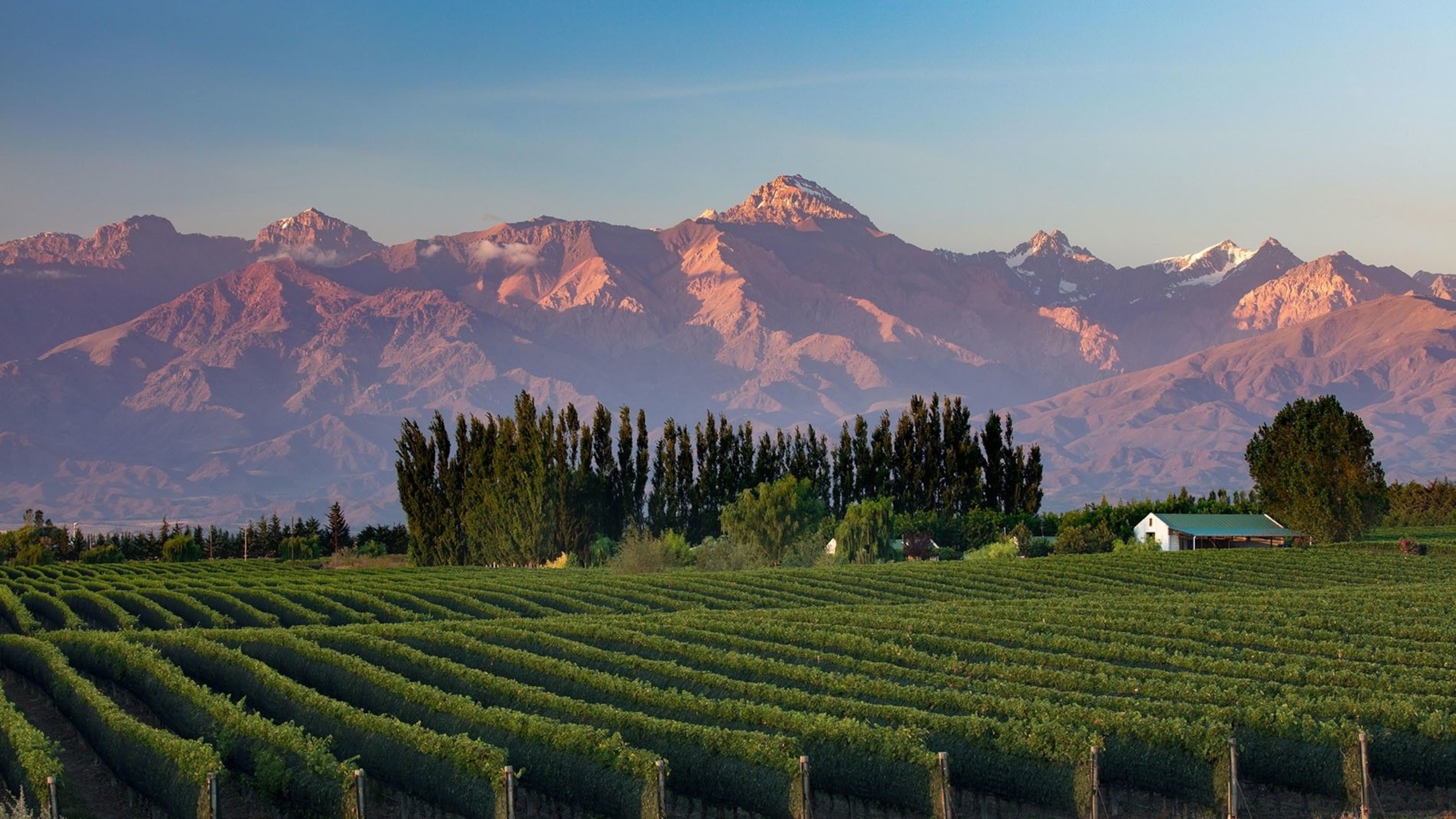 Argentina is know for producing world-class varieties of grapes at high-altitude vineyards in the Uco Valley.