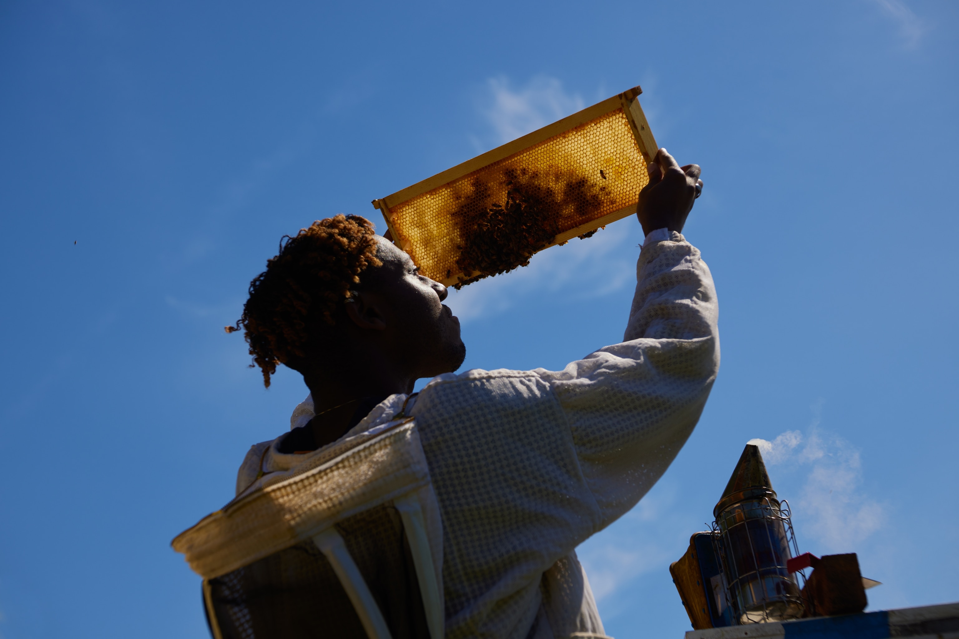 National Geographic Explorer Samuel Ramsey is an entomologist and National Geographic 2022 Wayfinder Awardee. Ramsey’s research on the decline of honey bees has taken him around the globe to better understand how pollinator pandemics start – and how they can be stopped.
