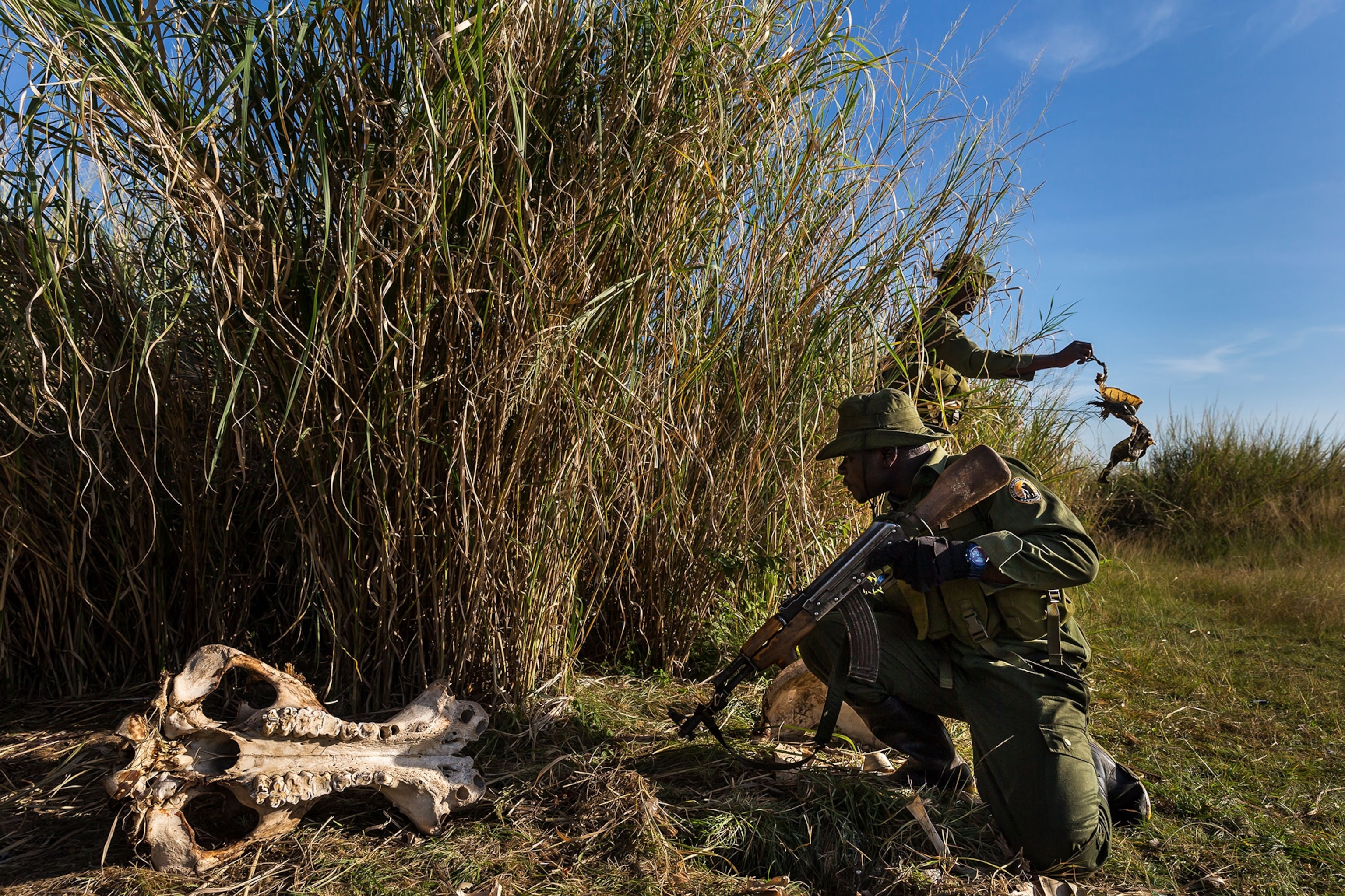 conservation rangers discovering a poaching camp inside Virunga National Park
