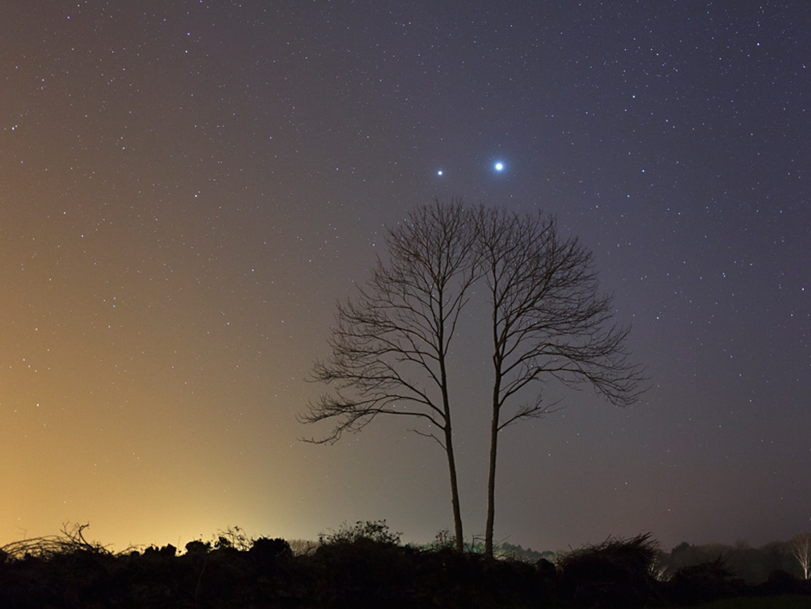 Venus and Jupiter are seen above a tree in France.