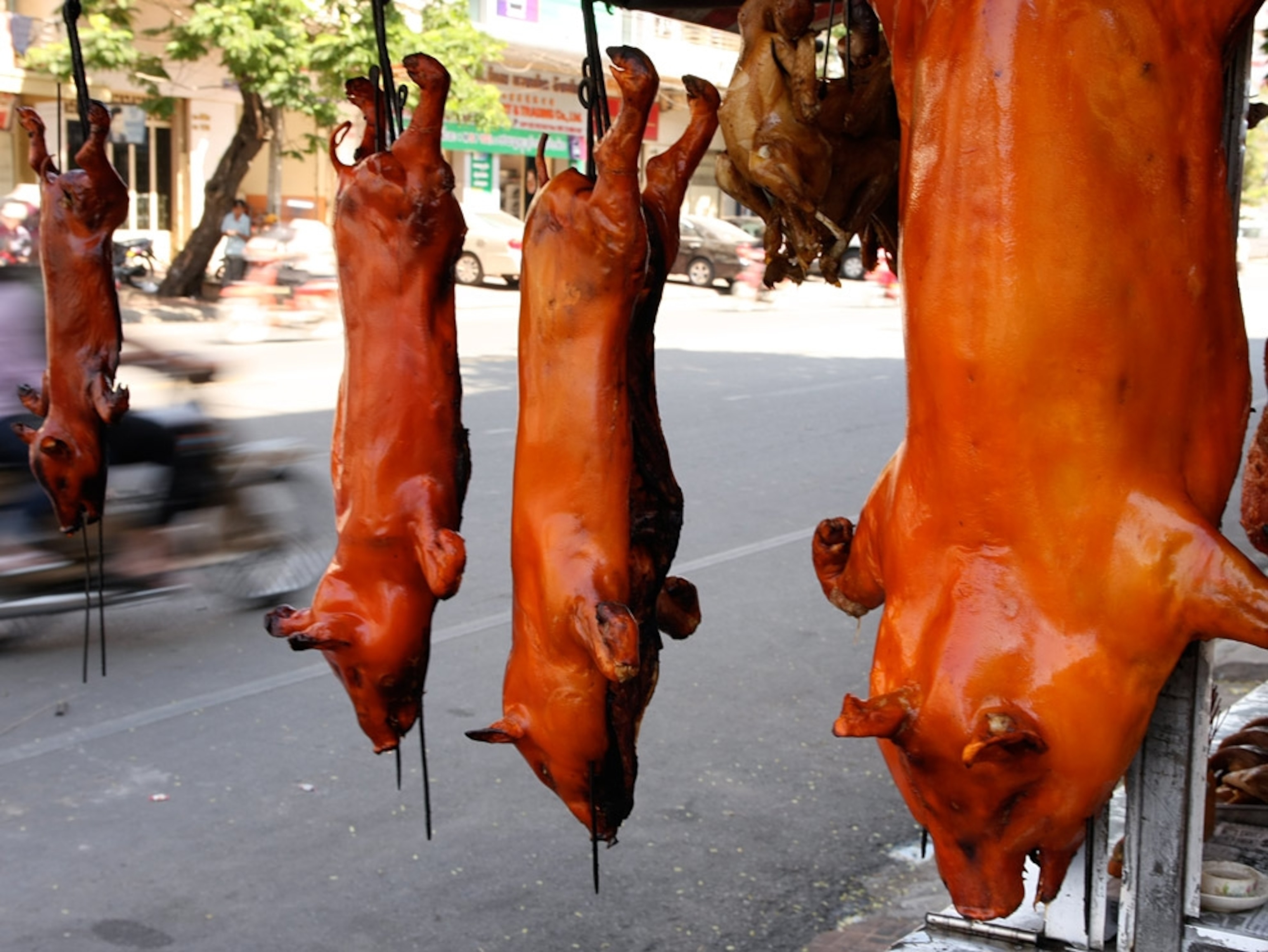 Roasted pigs hanging from street side vendor cart