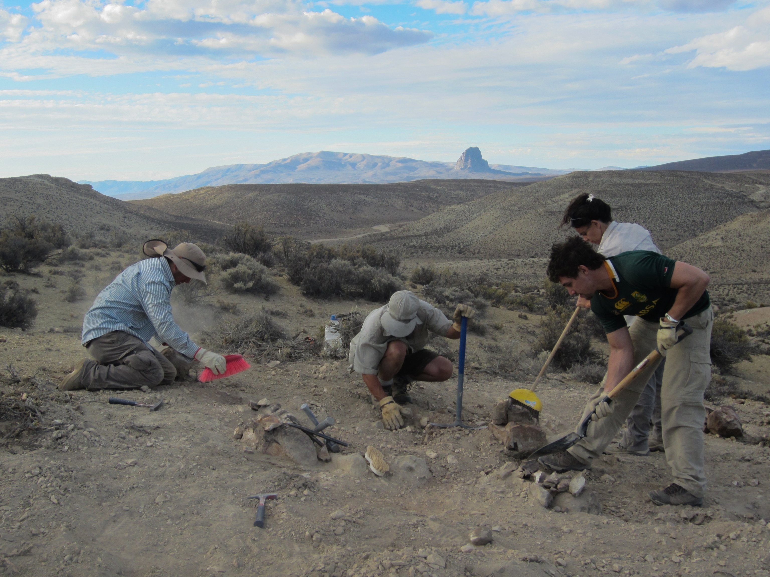 Paleontologists begin excavating Mesa’s "bicharracos" in the Patagonian Desert.