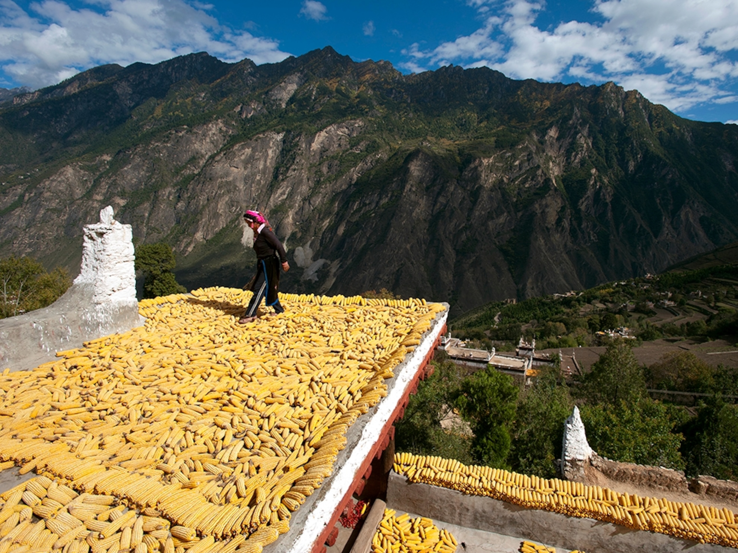 corn drying on roof, Sichuan, China