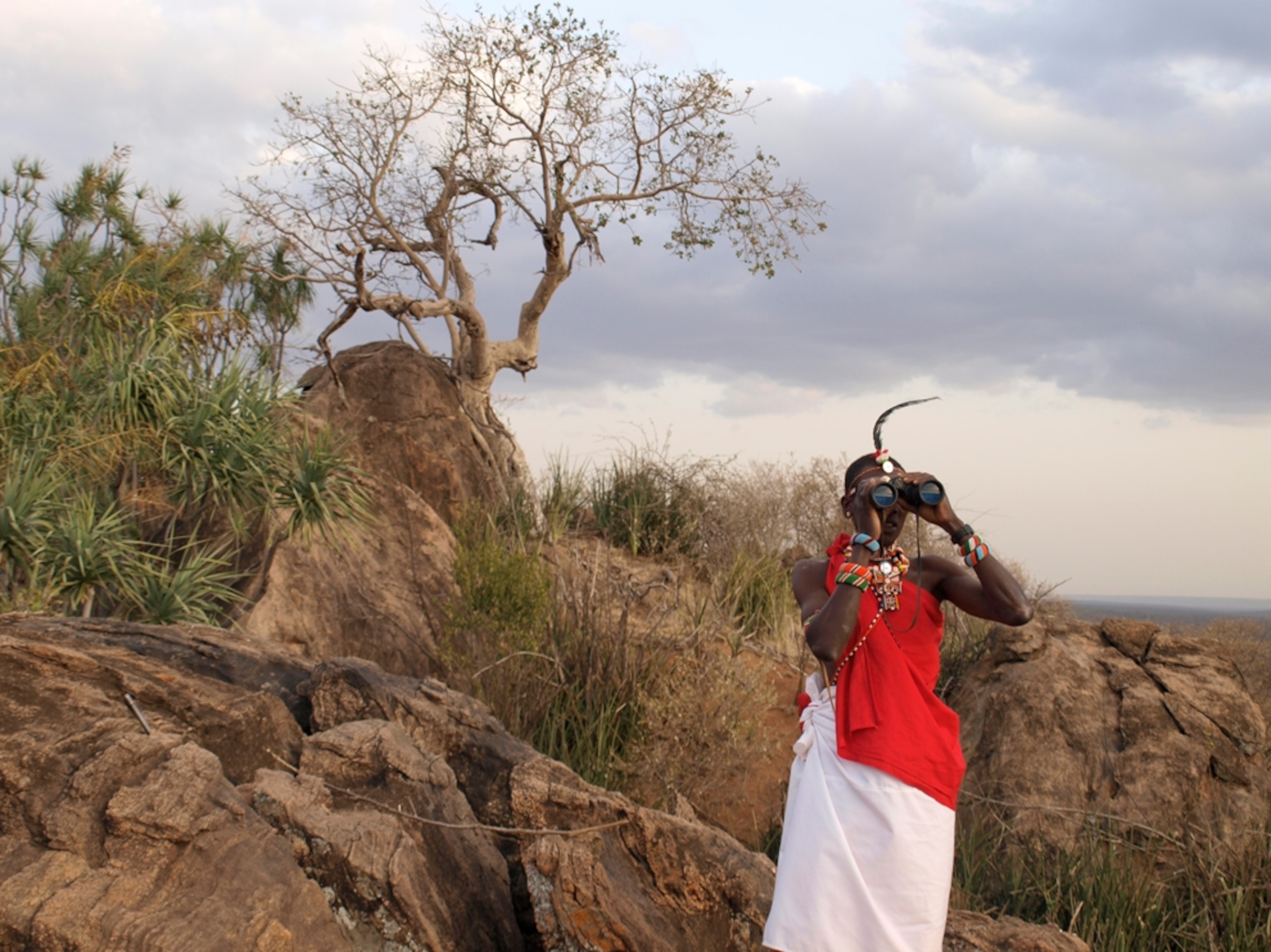 Samburu safari guide in Kenya, Africa