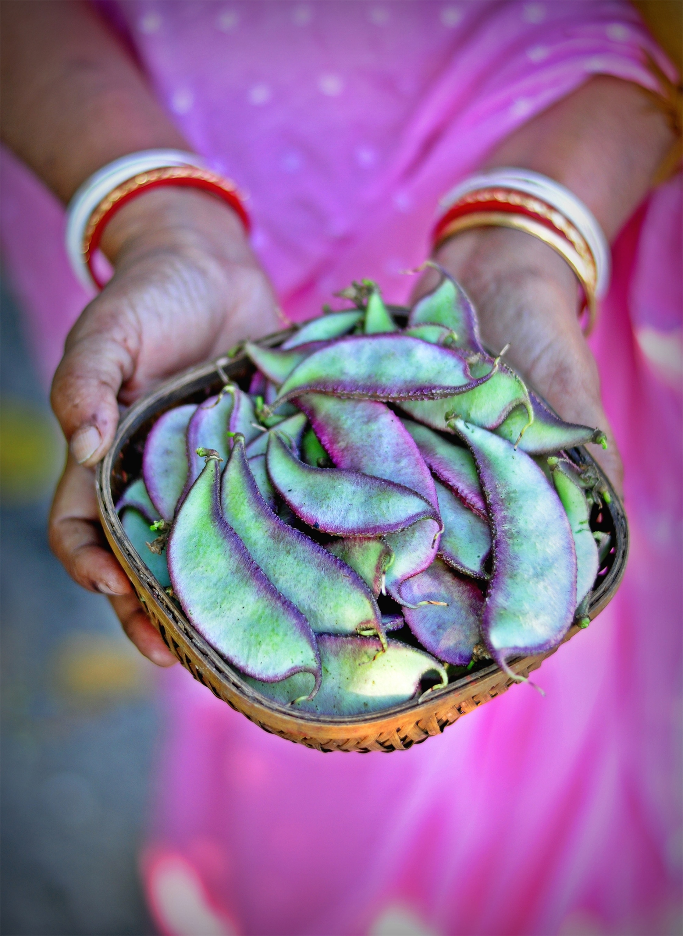 a person holding Hyacinth beans.