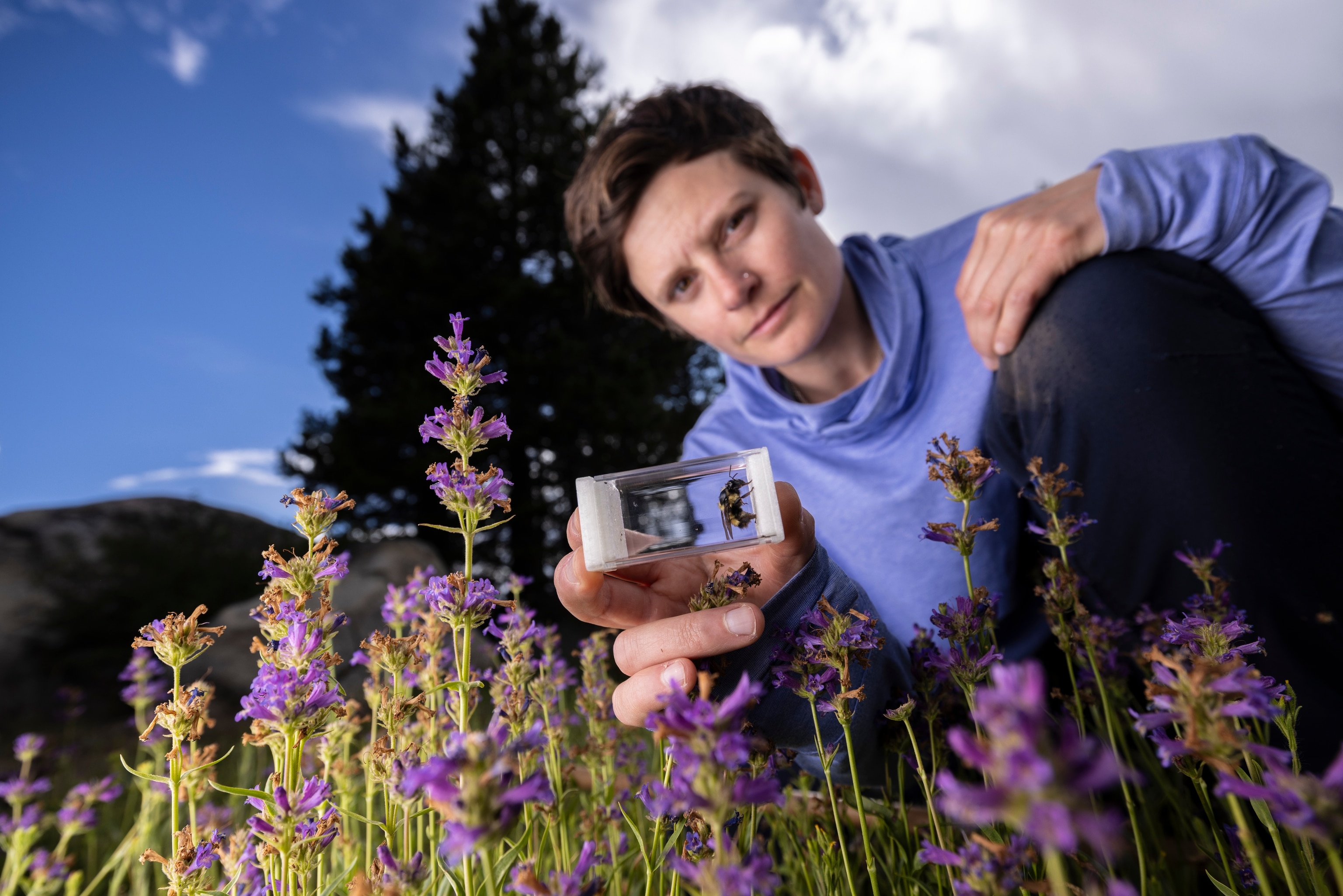 Woman in the background holds out a bumblebee incased in a clear vial