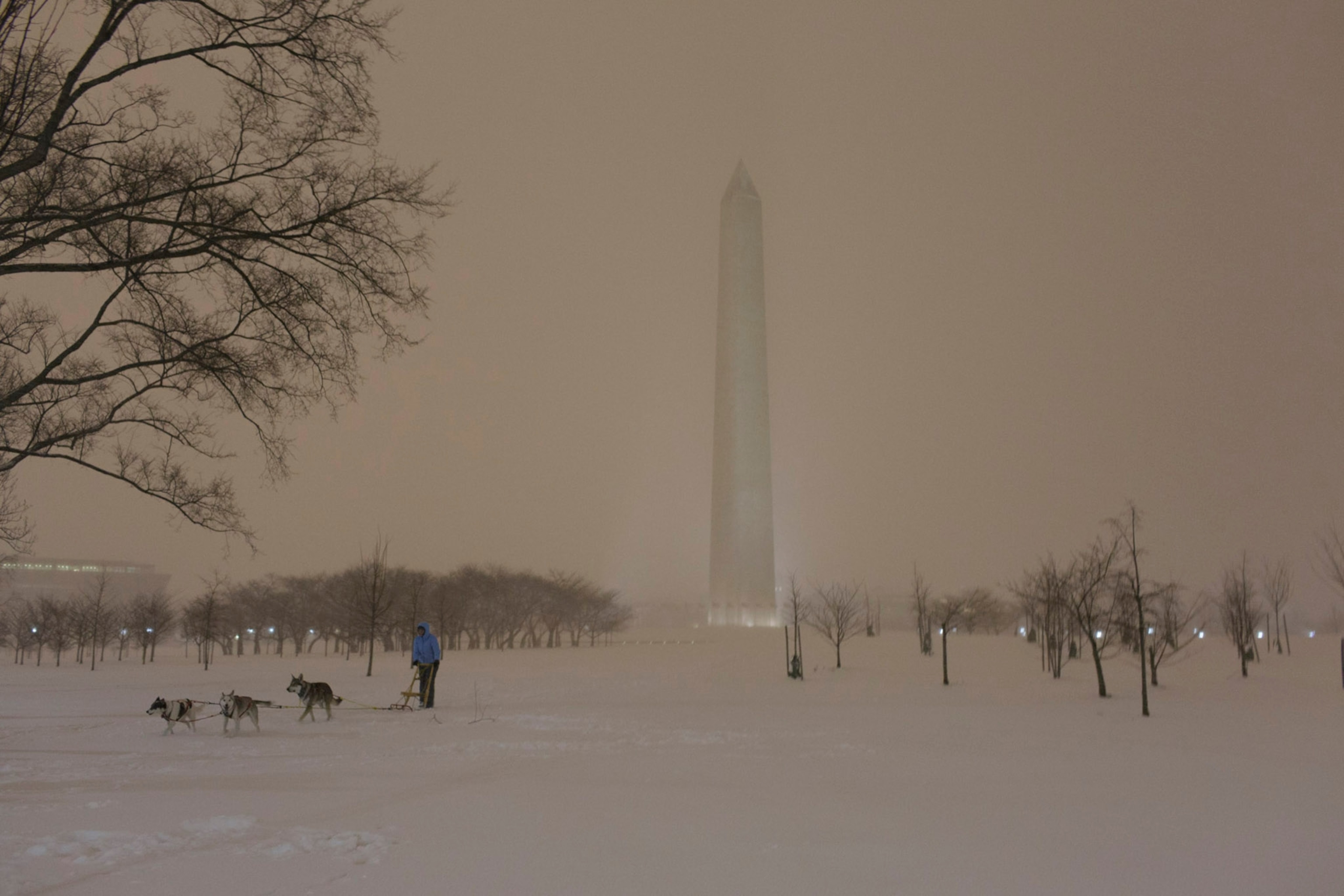 dogsled team running past the Washington Monument