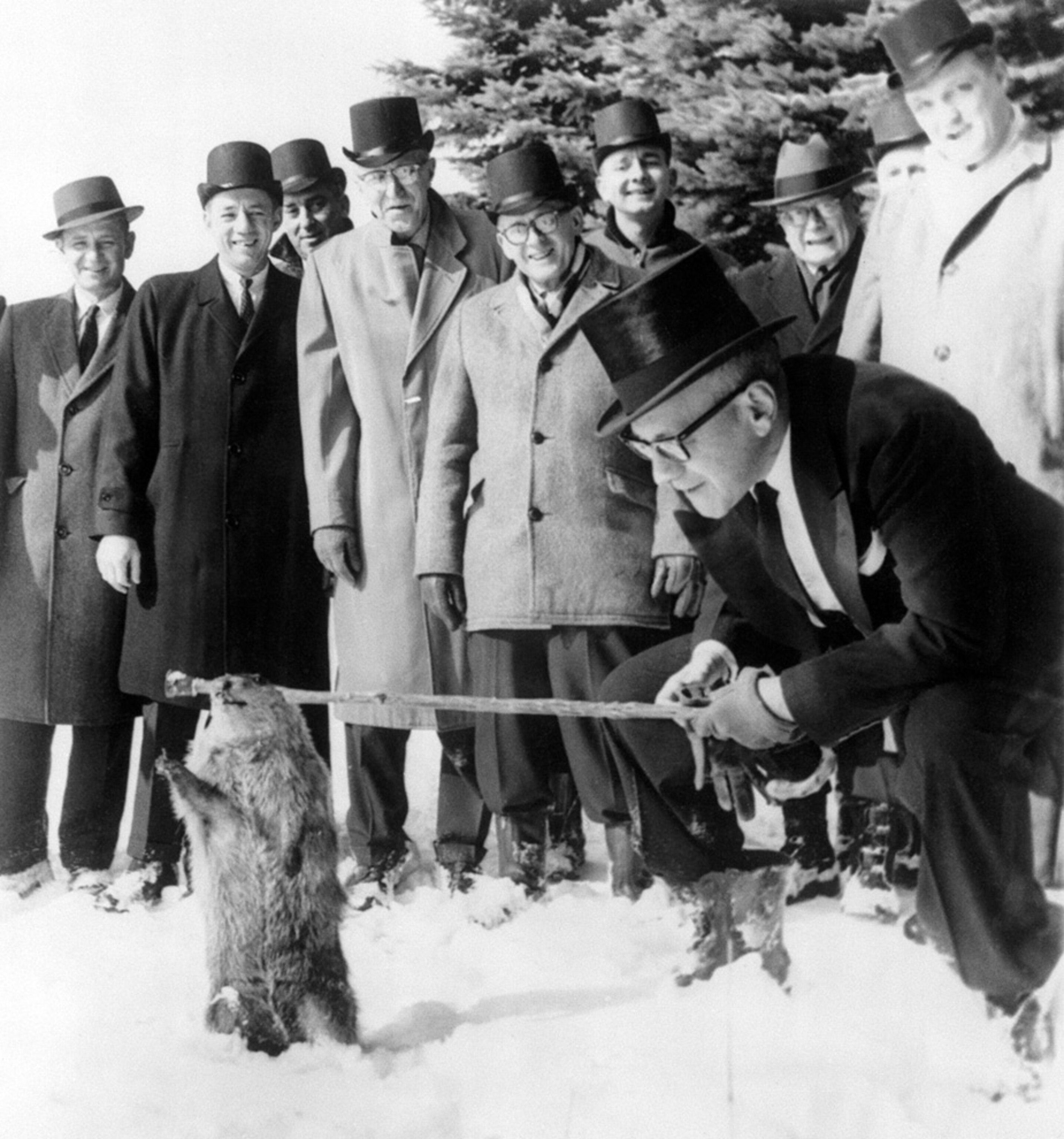 Punxsutawney Phil forecasting more winter weather on Groundhog Day in 1963.