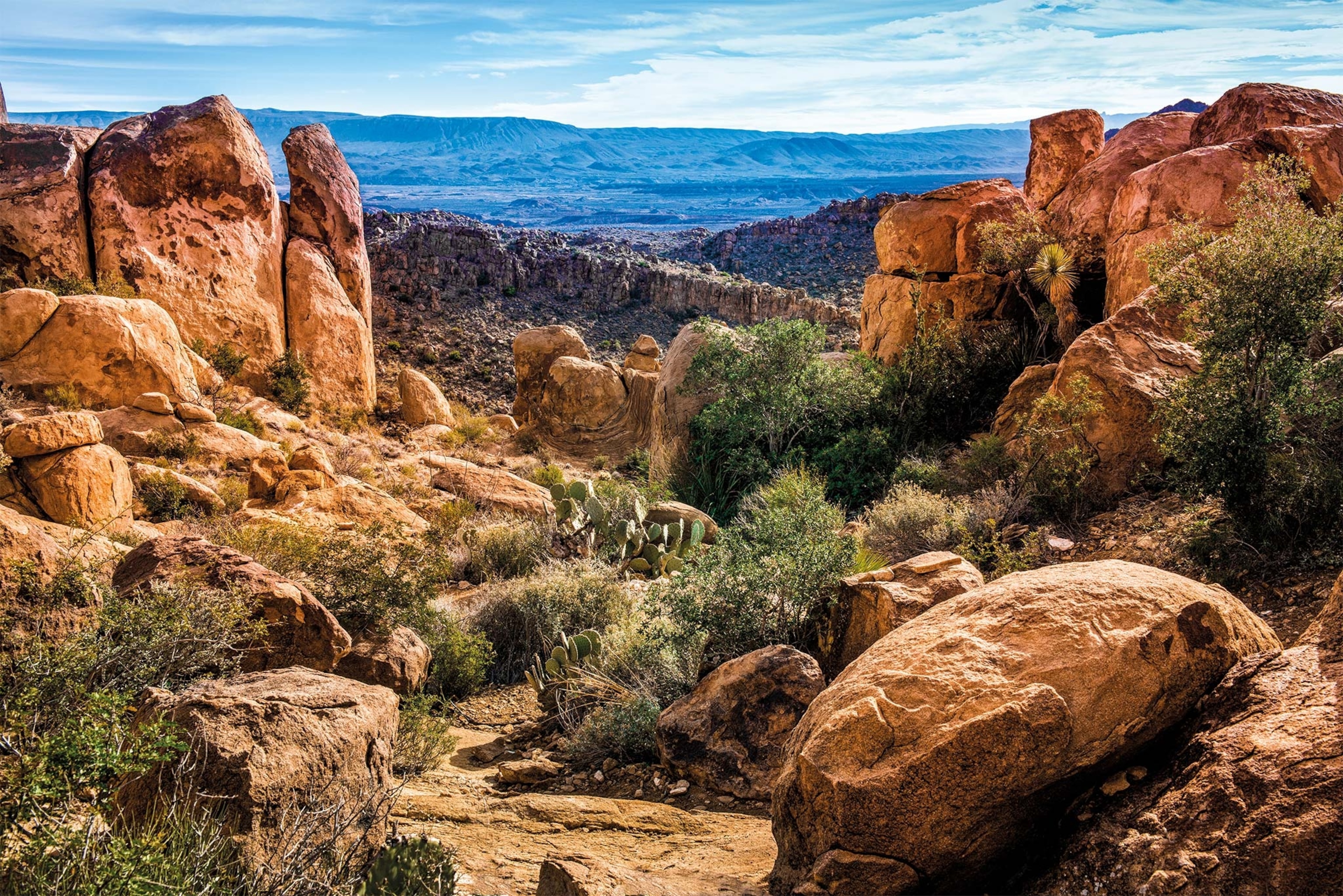 A vista with rocks in Big Bend National Park