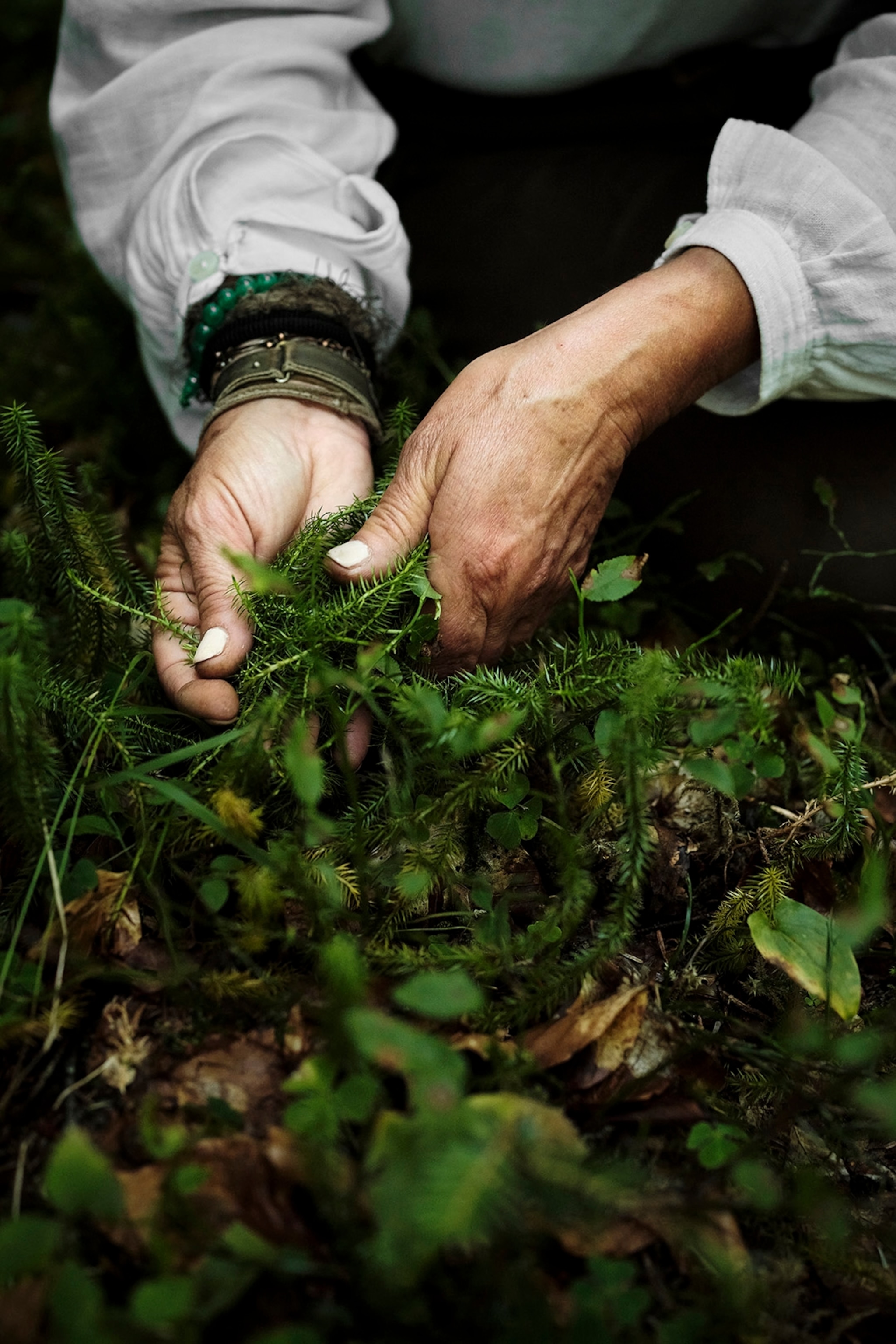 A close-up on hands picking up twigs of pine.