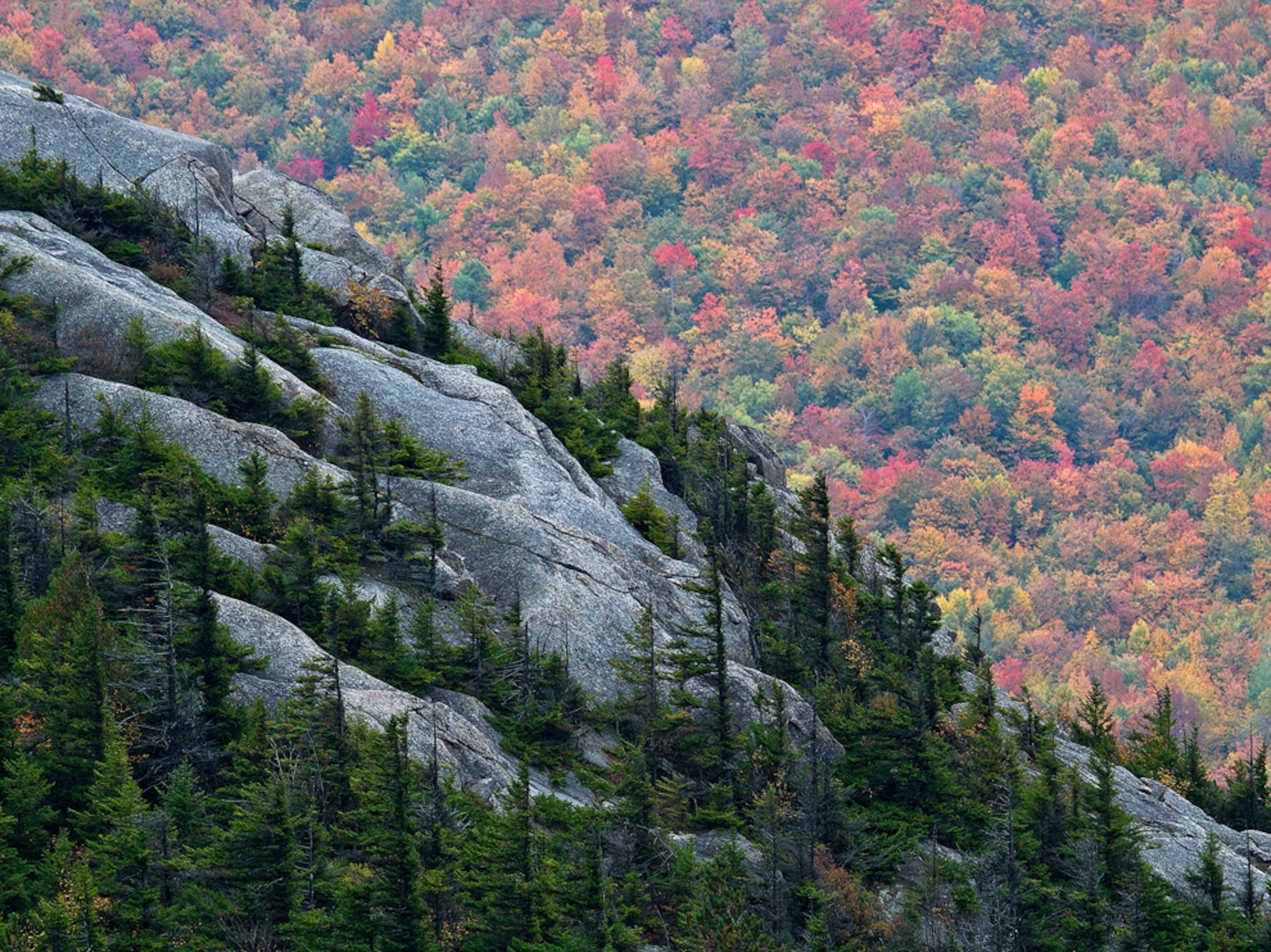 Catamount Mountain, New York