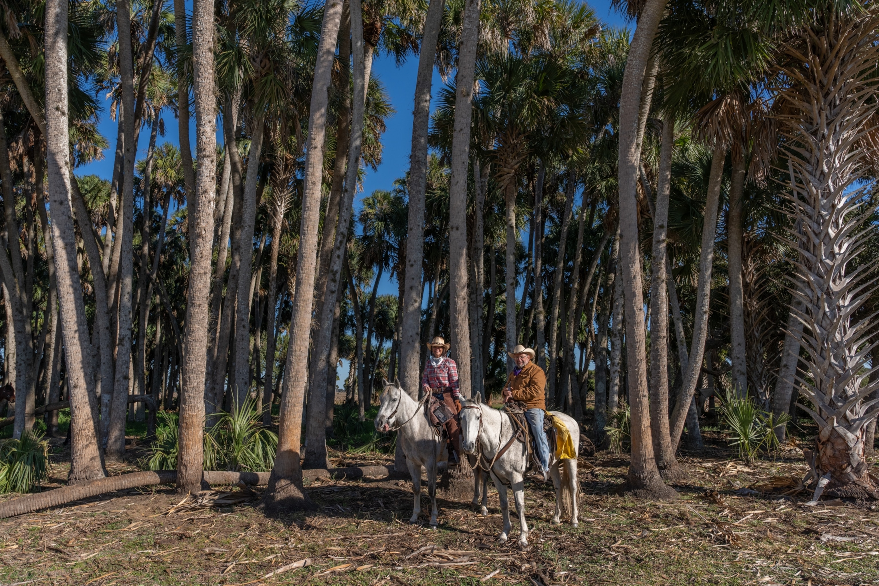 A man and woman on a horse with tall trees in the background.
