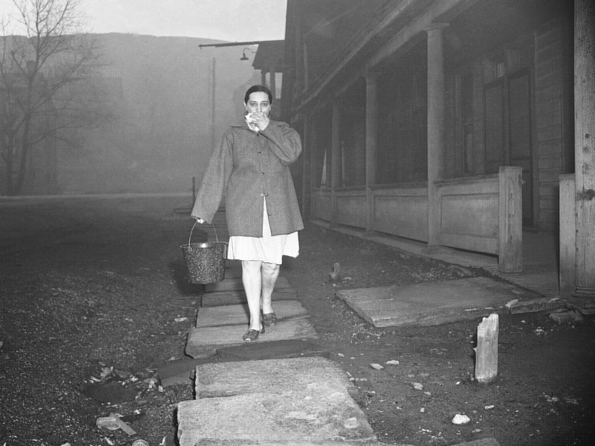 Decades ago, the Donora smog disaster exposed the perils of dirty air