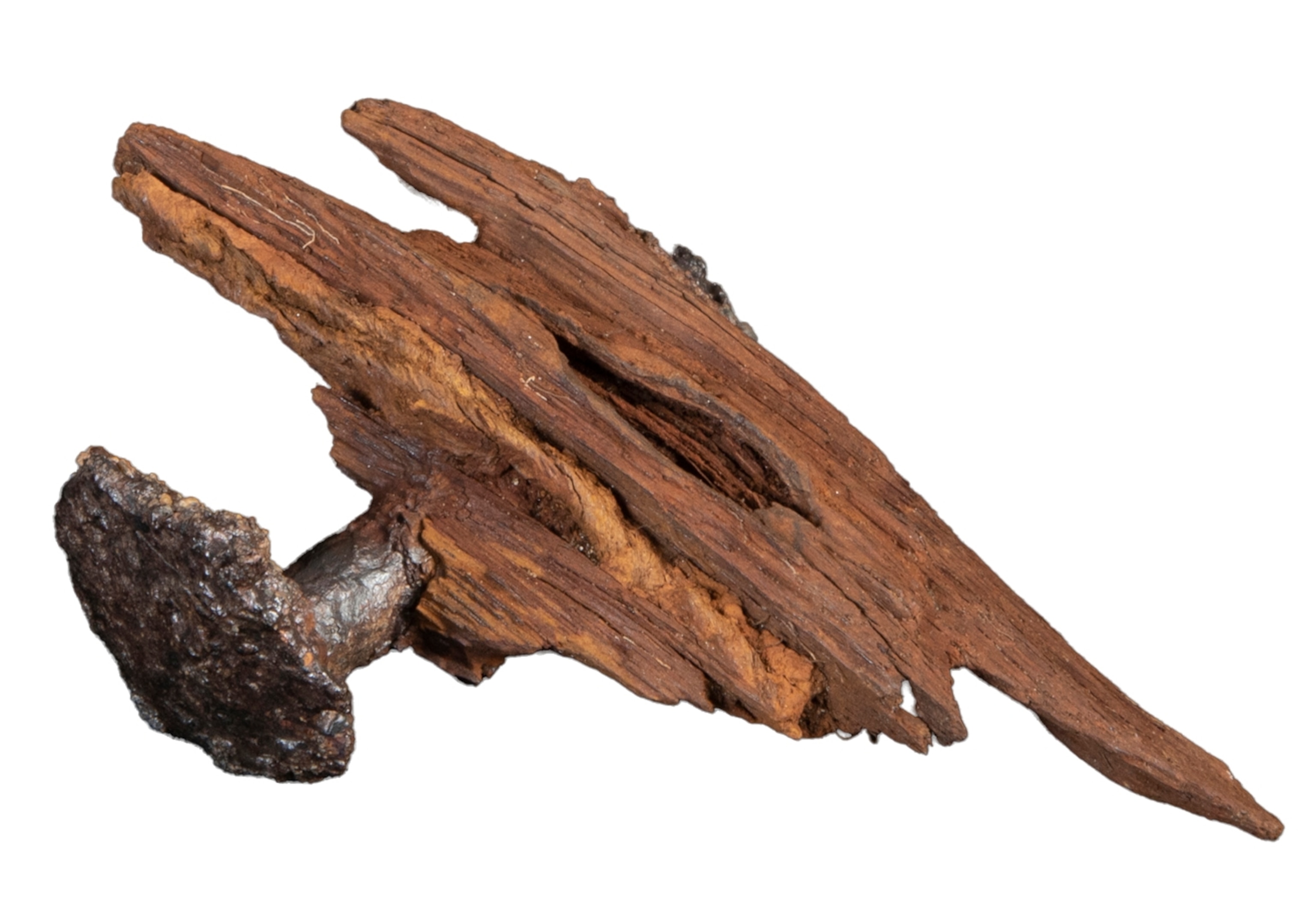 A wooden nail with a metal piece coming out of it
