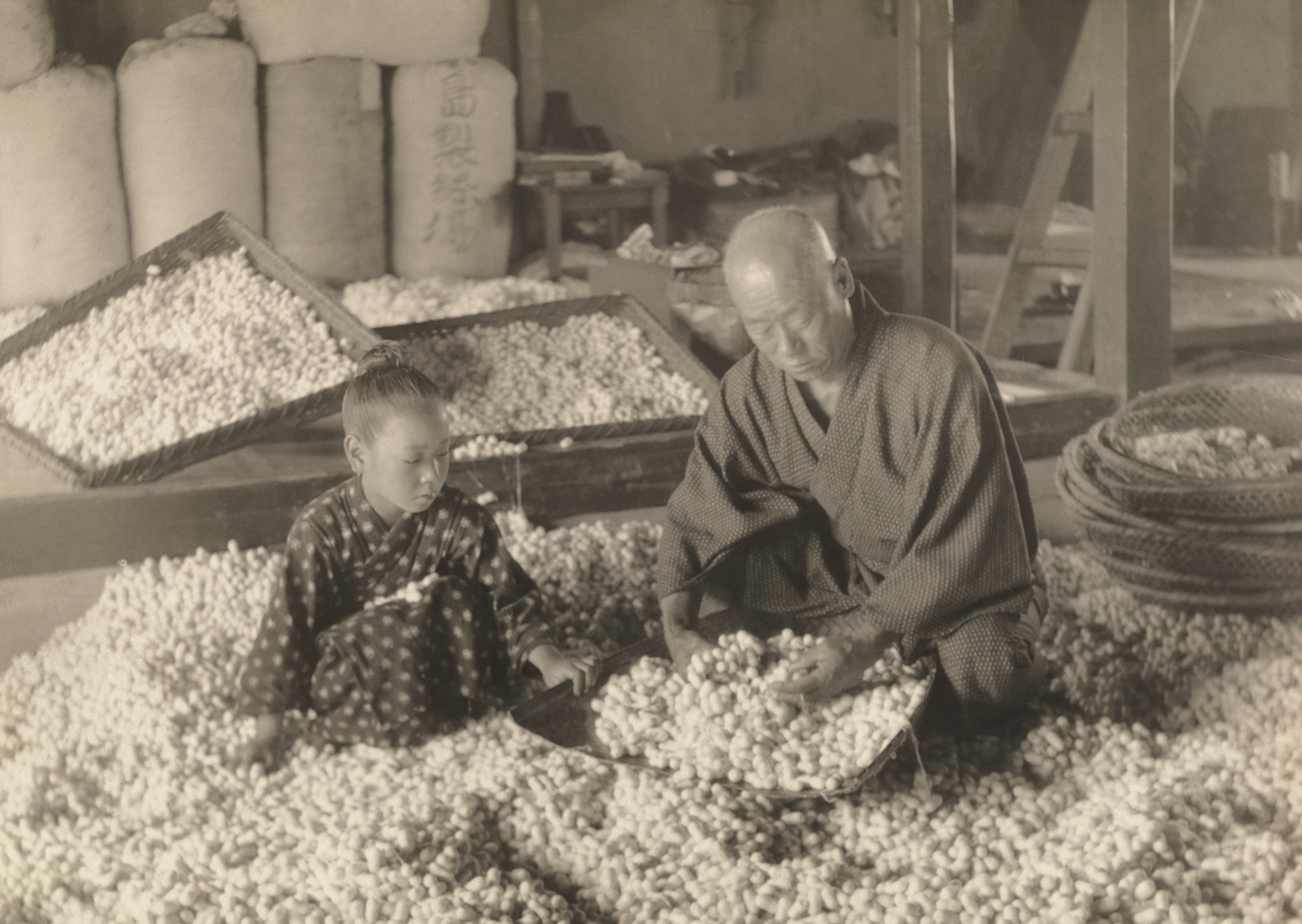 A man and girl in a factory, work with silk in its embryonic stage.