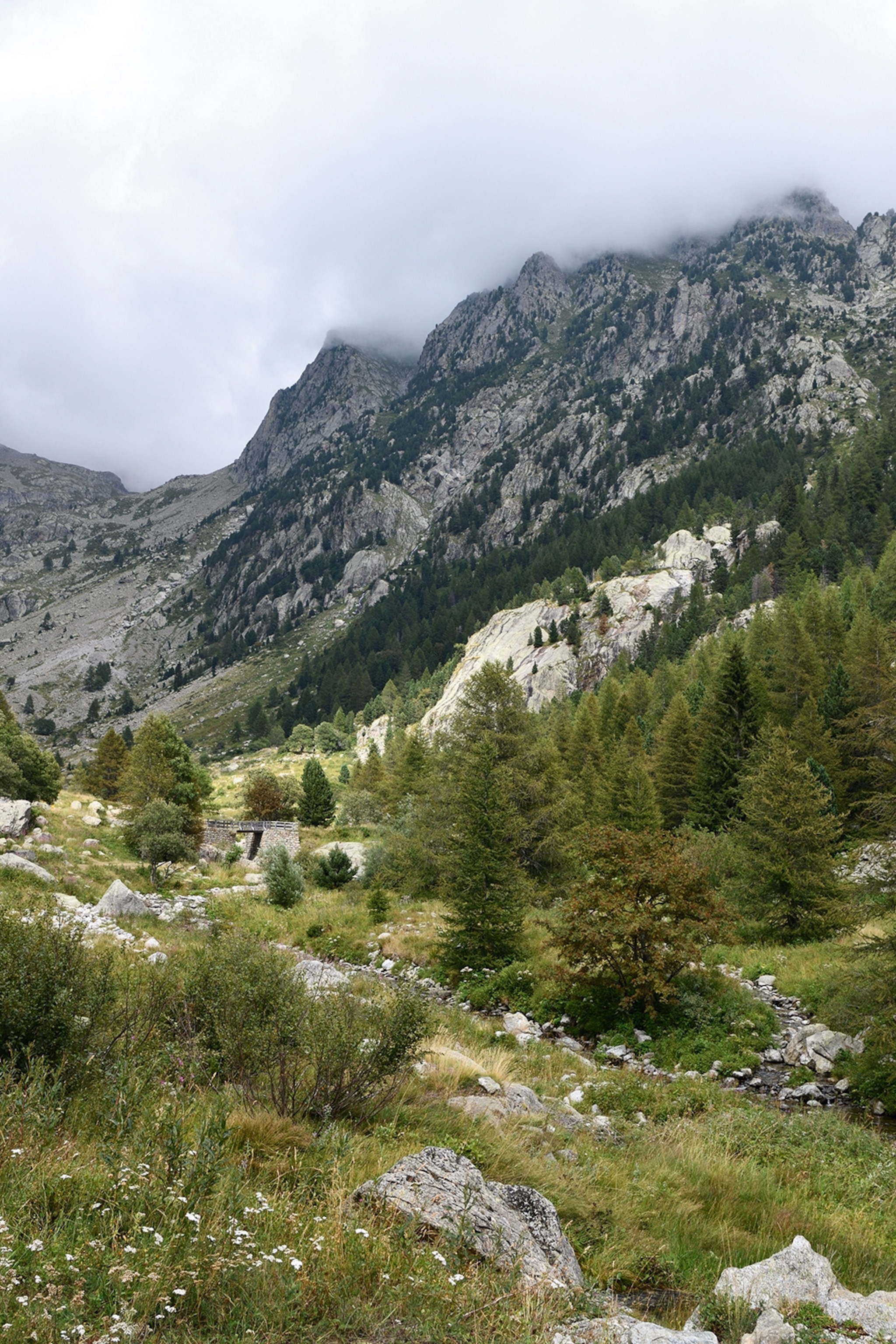 A mountain landscape with rocks, patches of grass and pine trees lining the steep slopes.