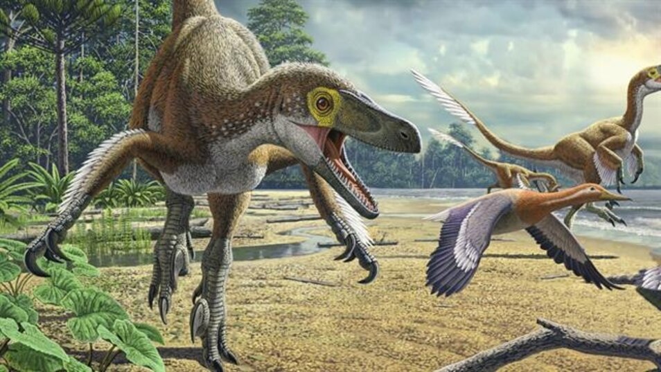 Dinosaurs 101
