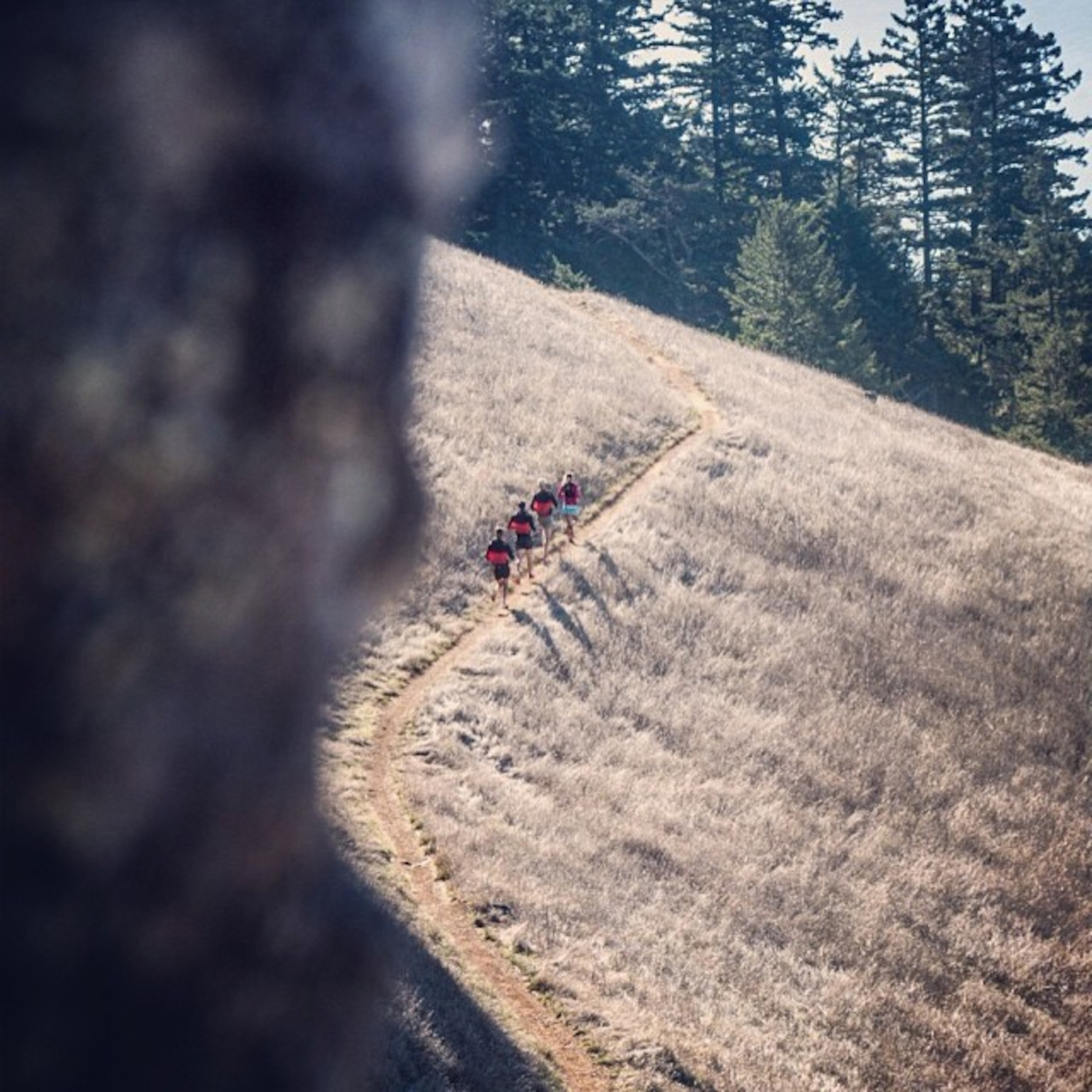 the Salomon team training, San Francisco, California