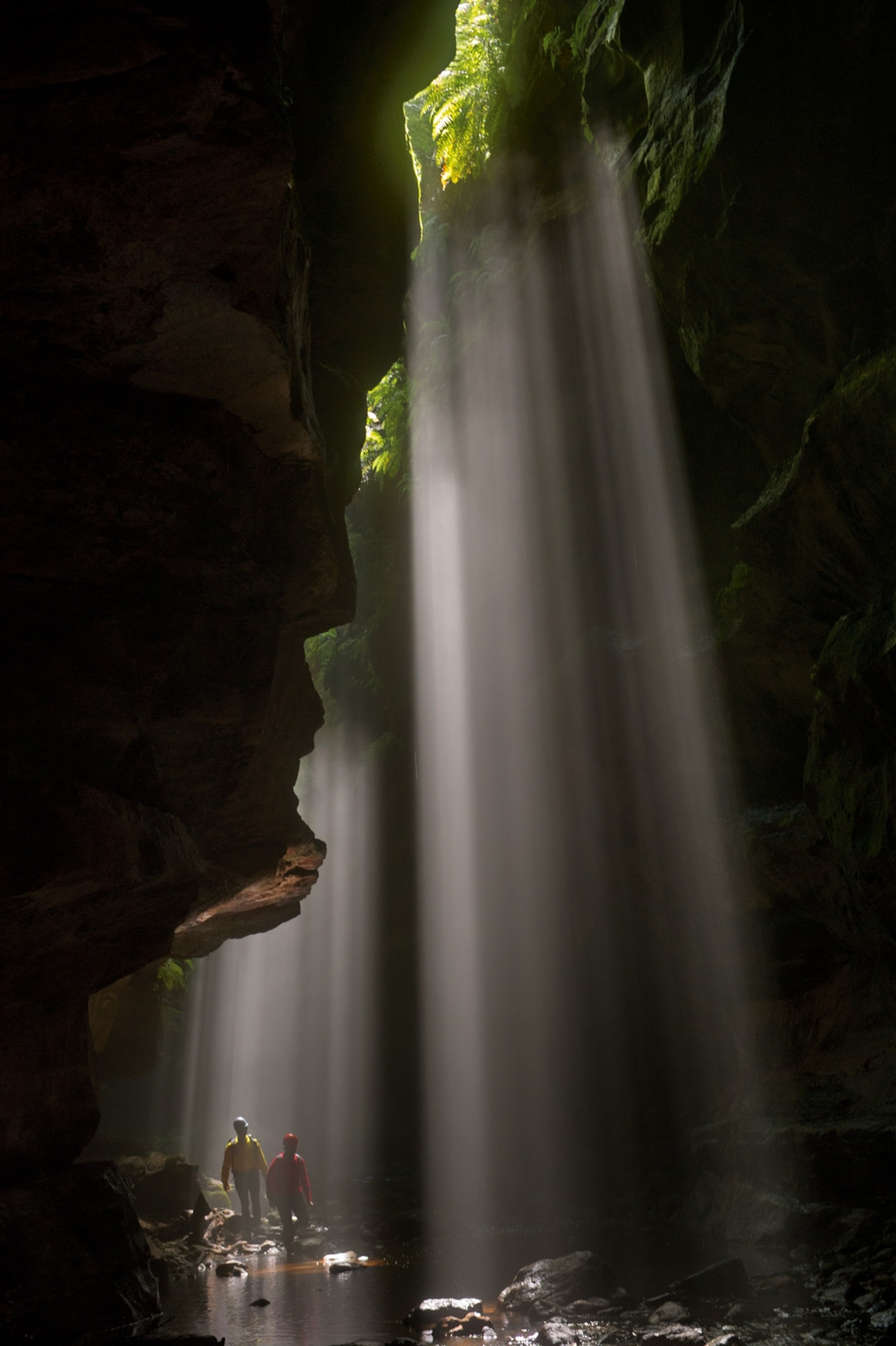 midday shafts of light intensifying the cathedral-like atmosphere of Rocky Creek Canyon
