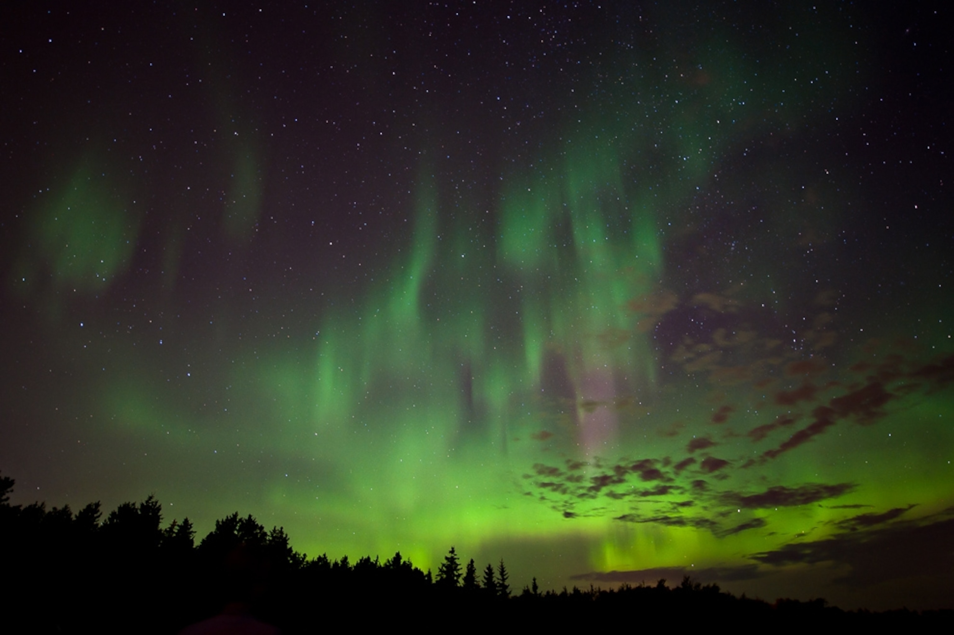 Aurora picture: northern lights over Minnesota