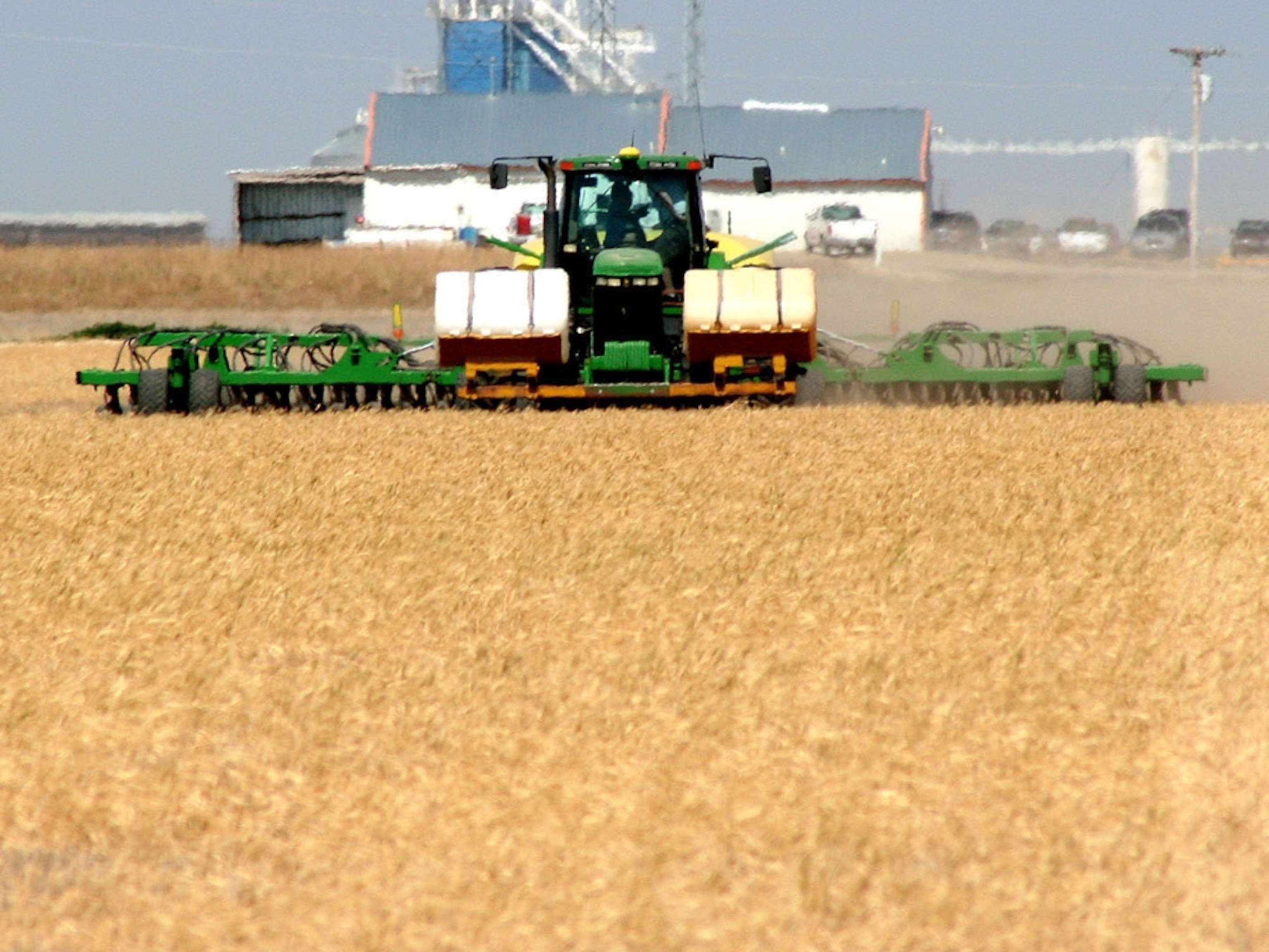 Switchgrass field and combine