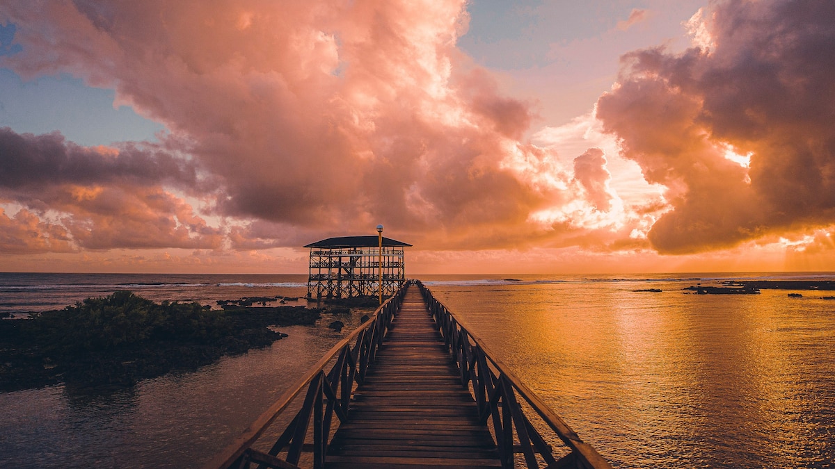 A yearning to return - Vimarsana News