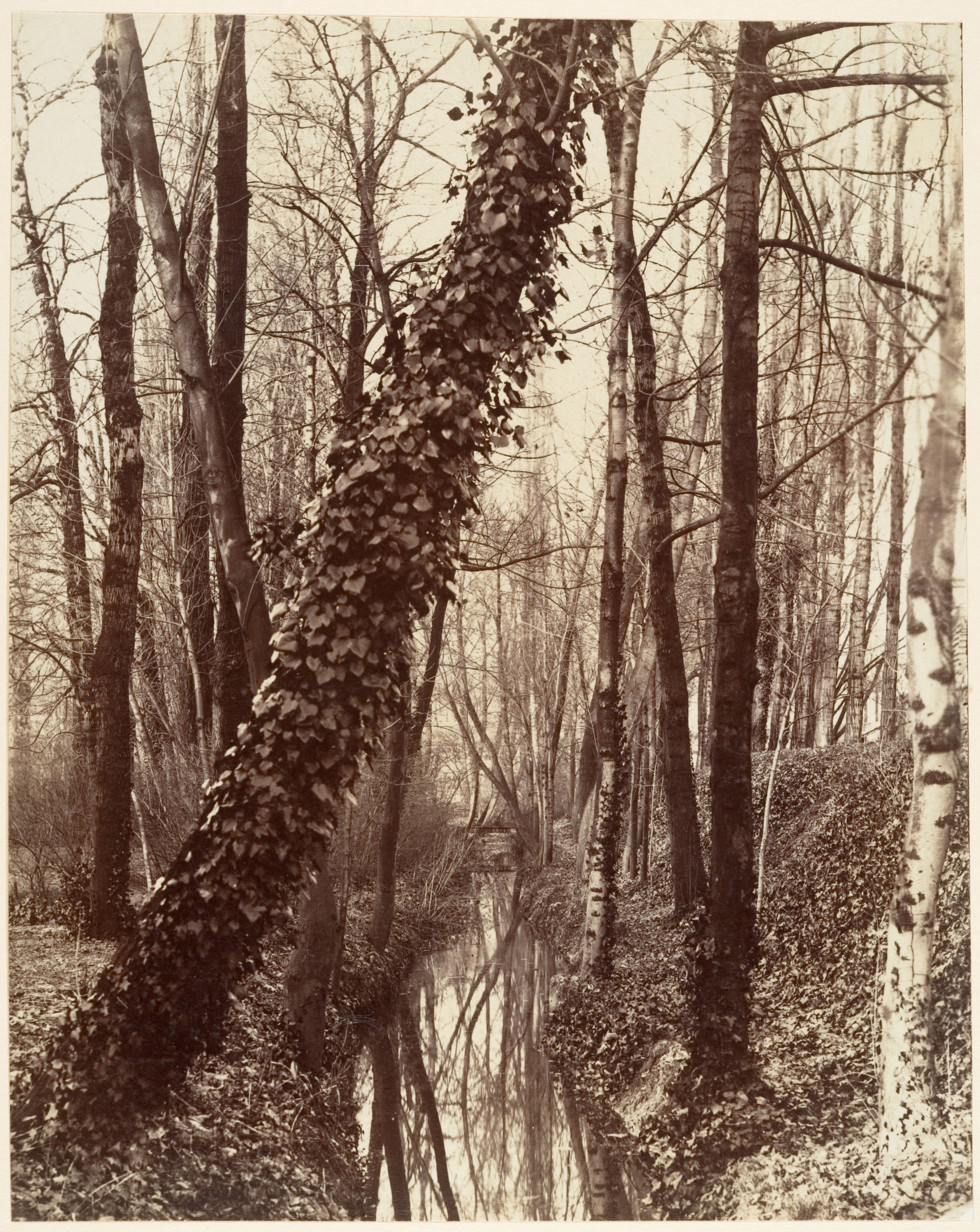 an archival image of the Bievre River in Paris