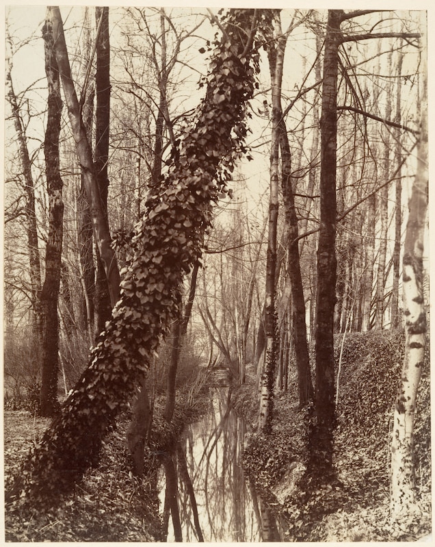 euge-ne_atget-_la_bie-vre-_boulevard_d-i