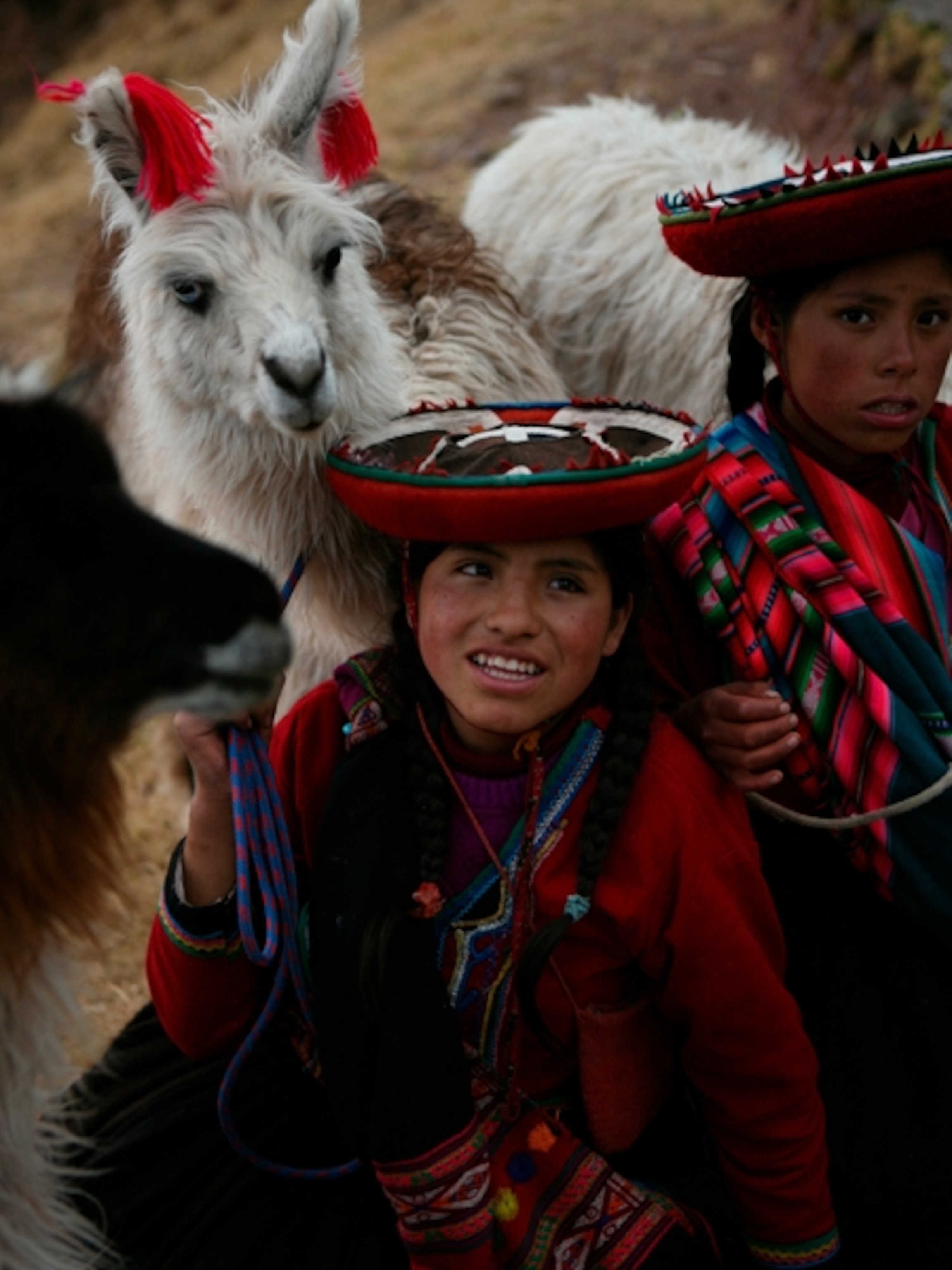 girls with llamas in City of Cusco .