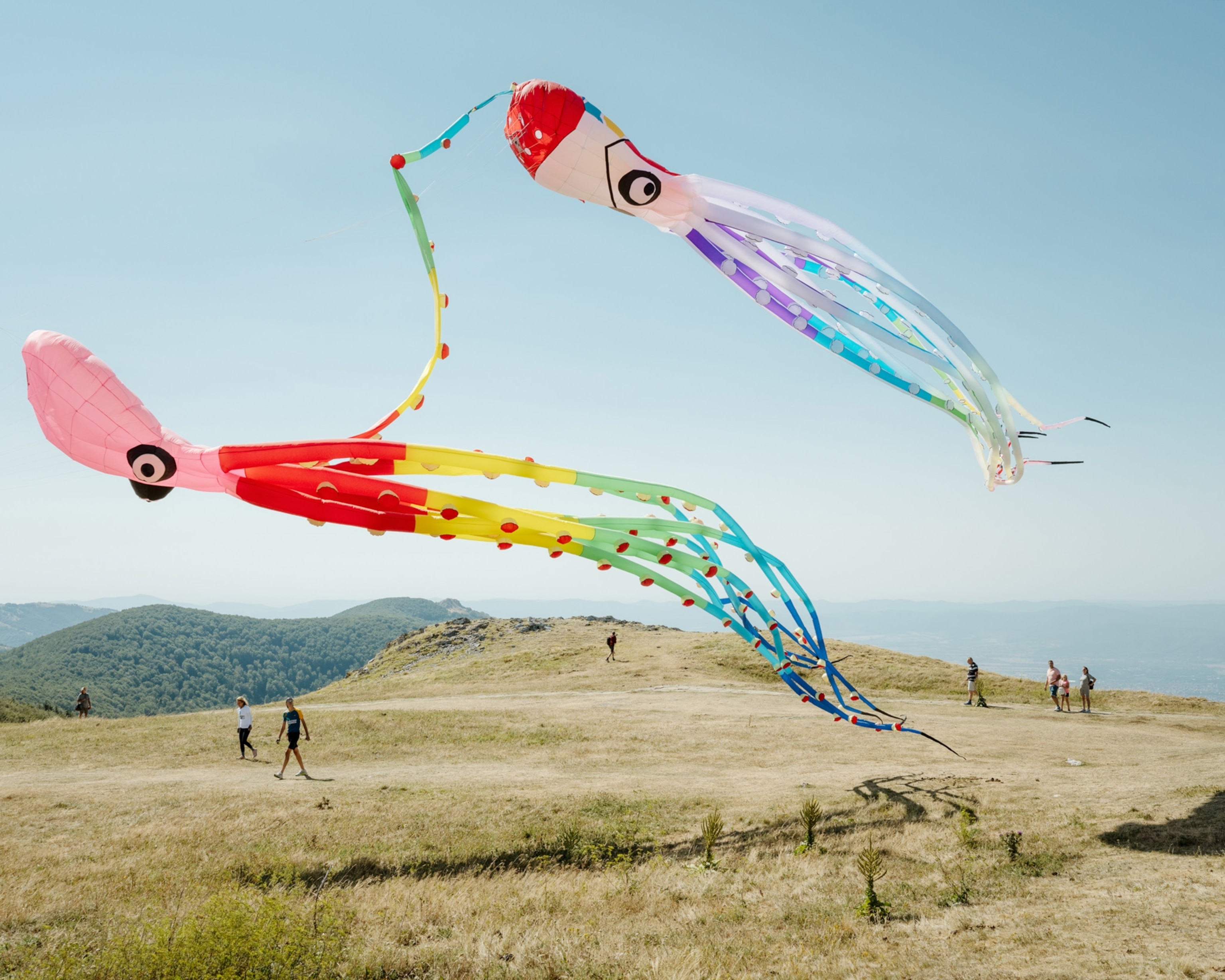 Coloful octopus kites flying in a field near a few people.
