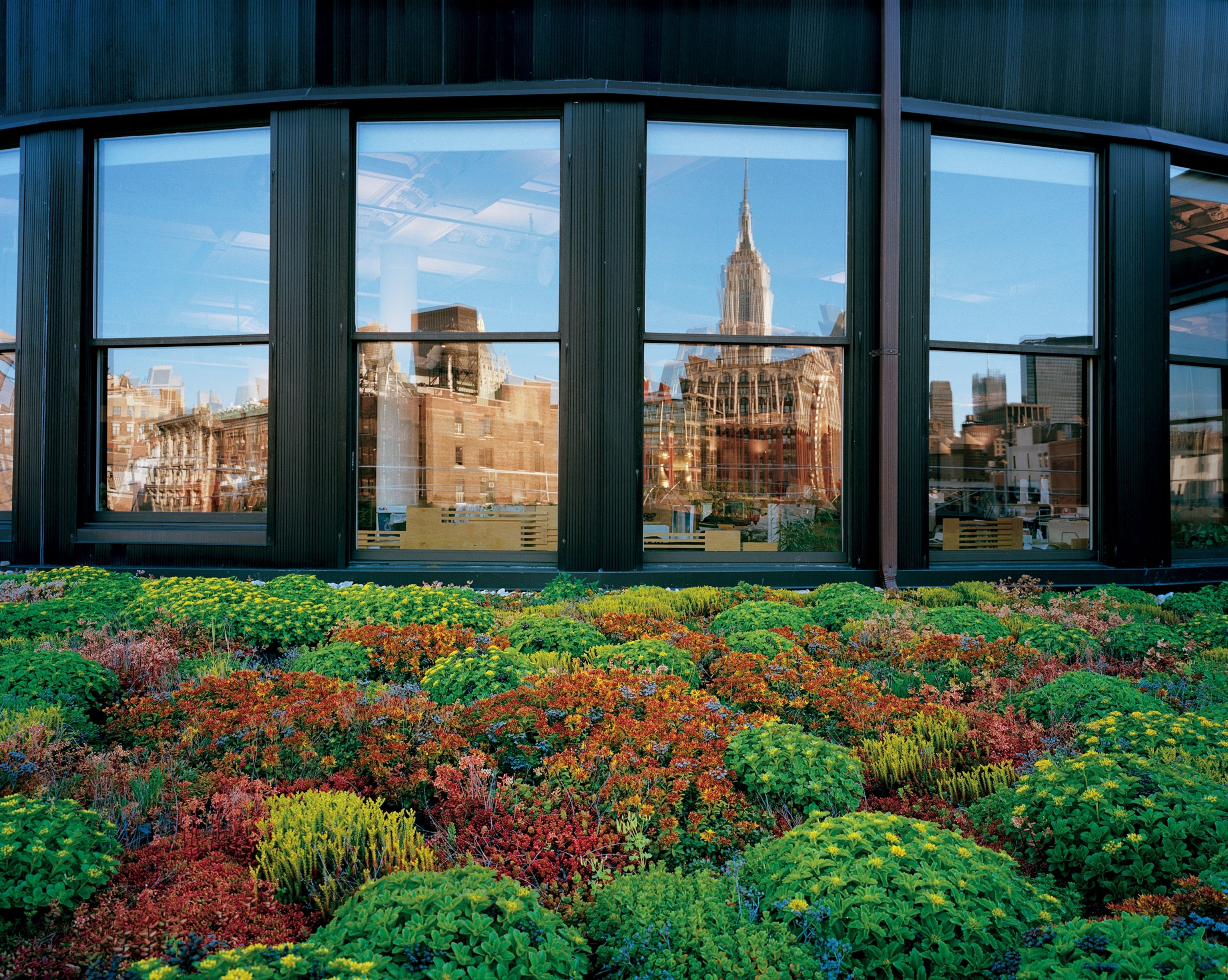 a green roof on the terrace outside a Manhattan office penthouse.