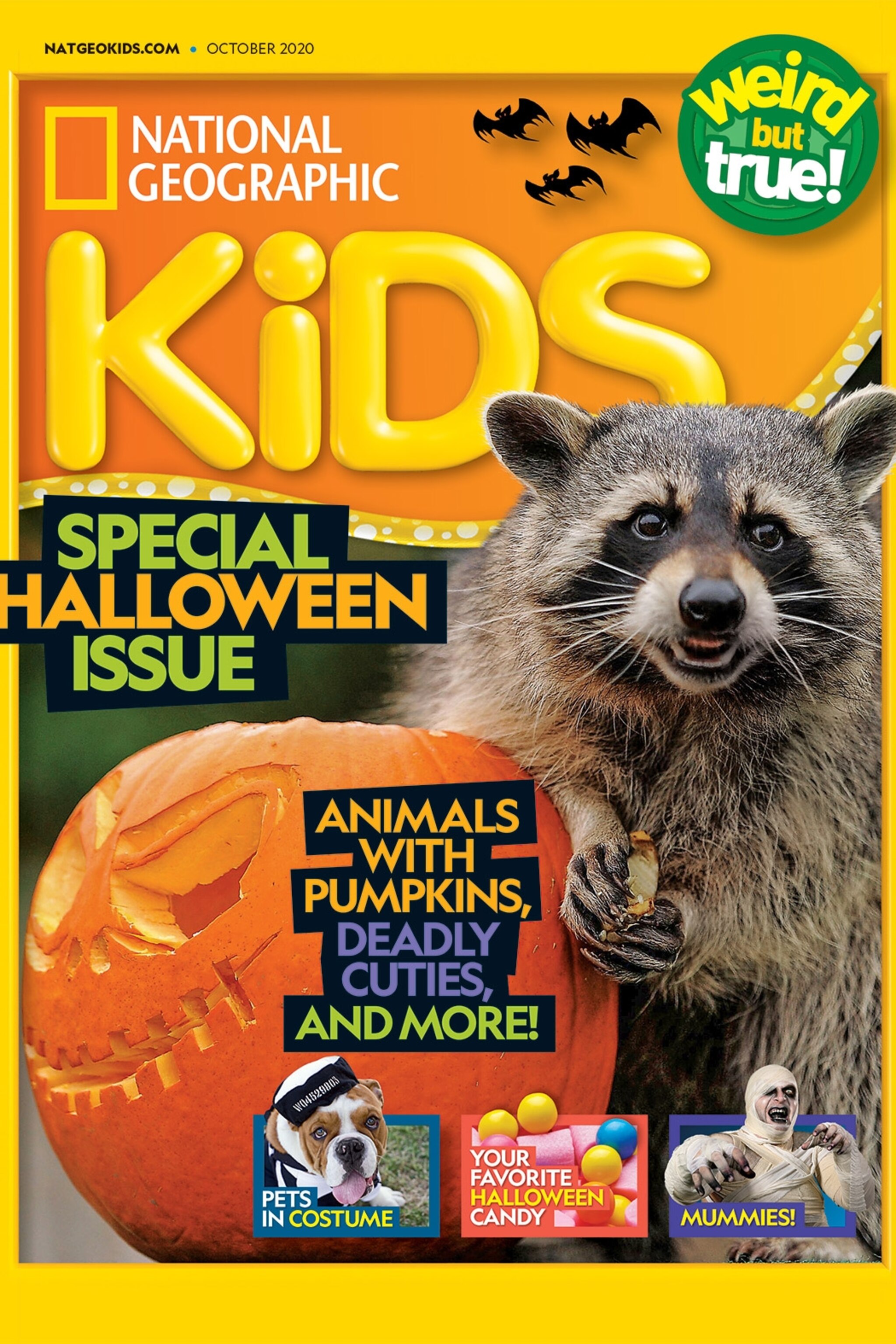 Magazine Sneak Peek | National Geographic Kids