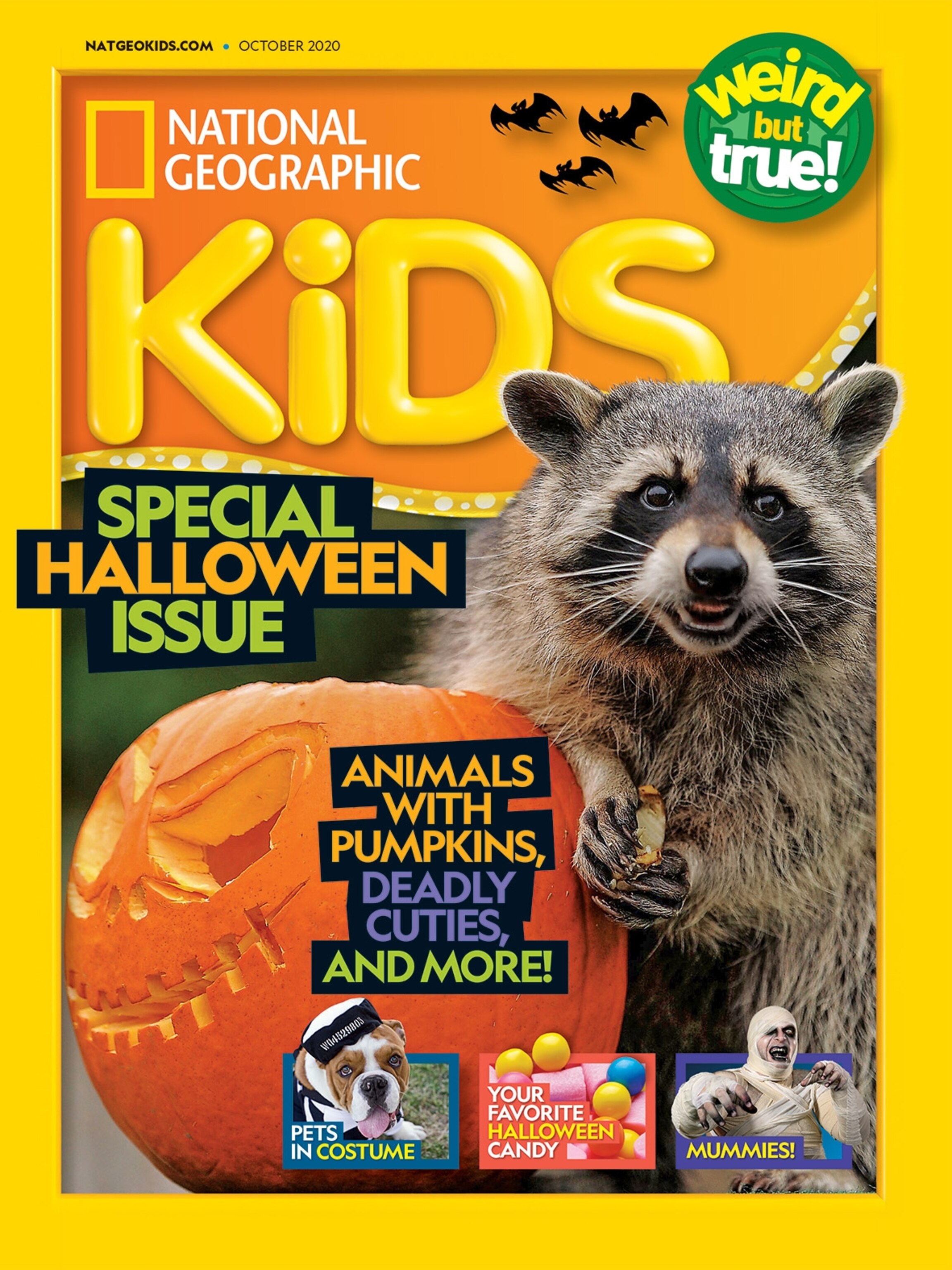 National Geographic Kids P-3 全131冊 National Geographic Kids Readers」内容紹介 | いねむりどくしょ
