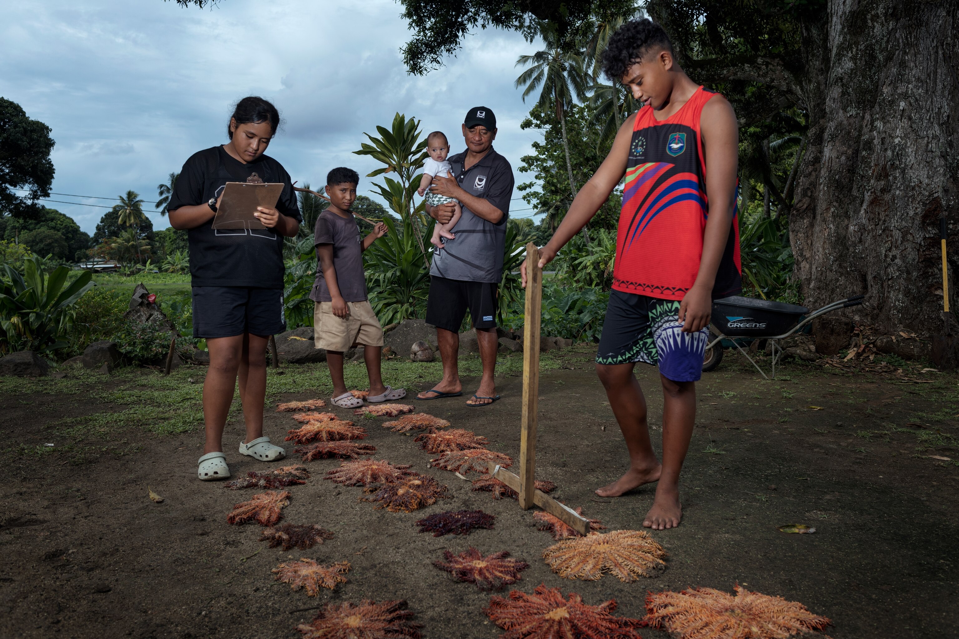 From left to right, Te Pori Rongo, Blake Elisa, Teina Rongo and Tamaika Tanielu collect data on taramea (crown-of-thorns starfish) collected from Rarotonga's reef.