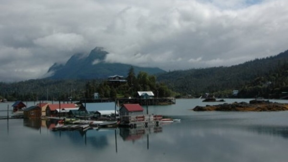 An Afternoon in Halibut Cove