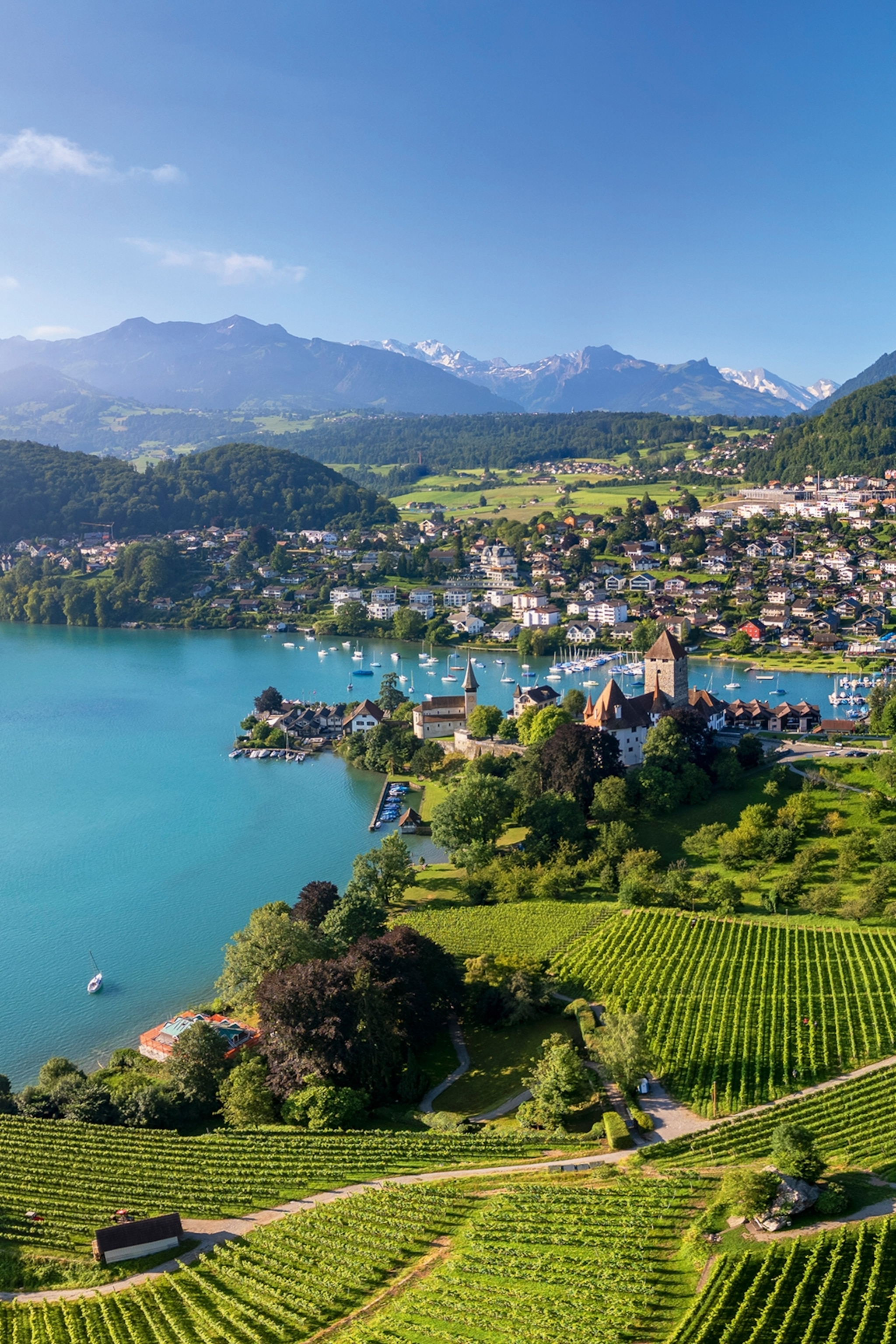 Aerial shot of Lake Thun and Thun.