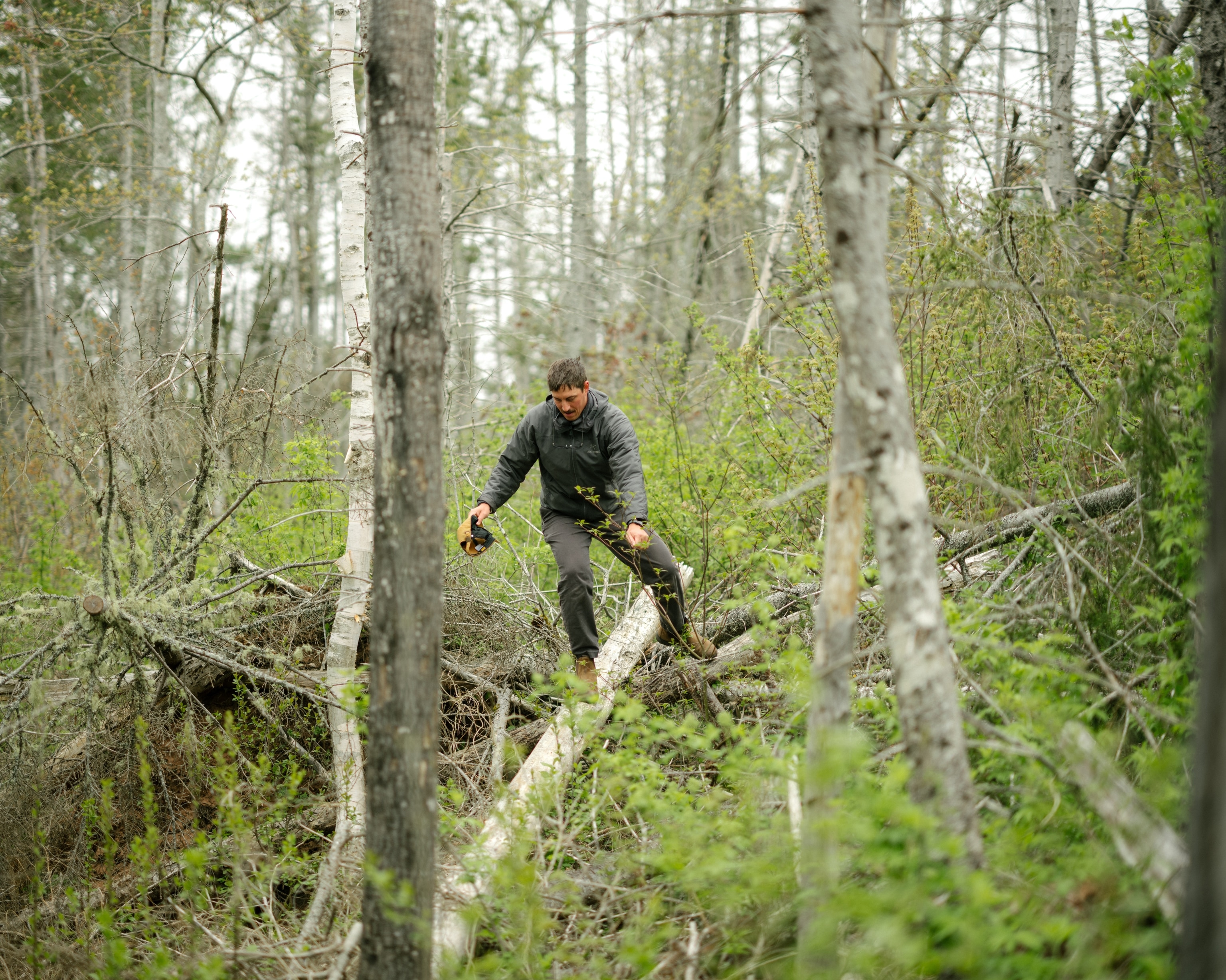 Bonshaw Hills Provincial Park