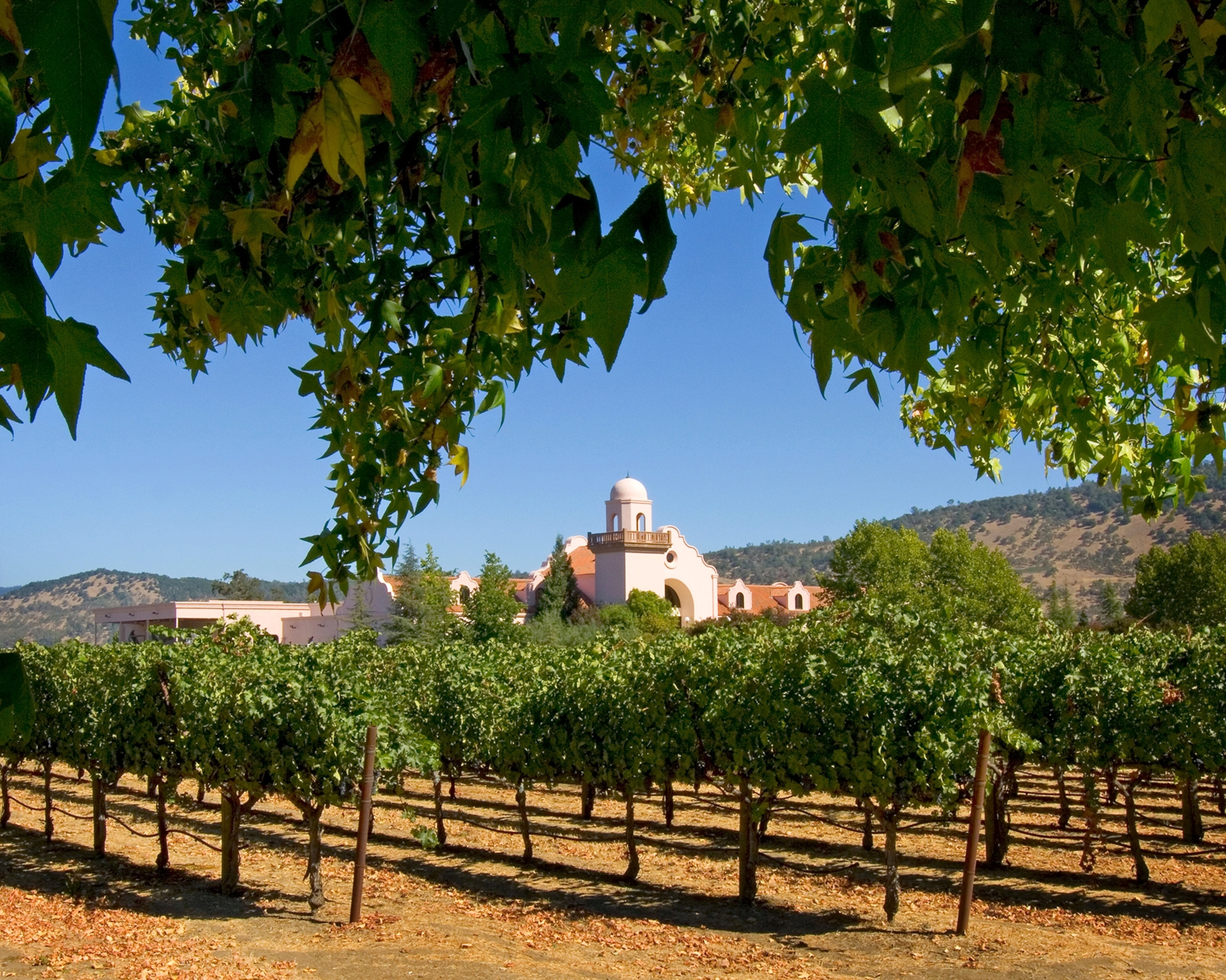 a winery along the Silverado Trail in California