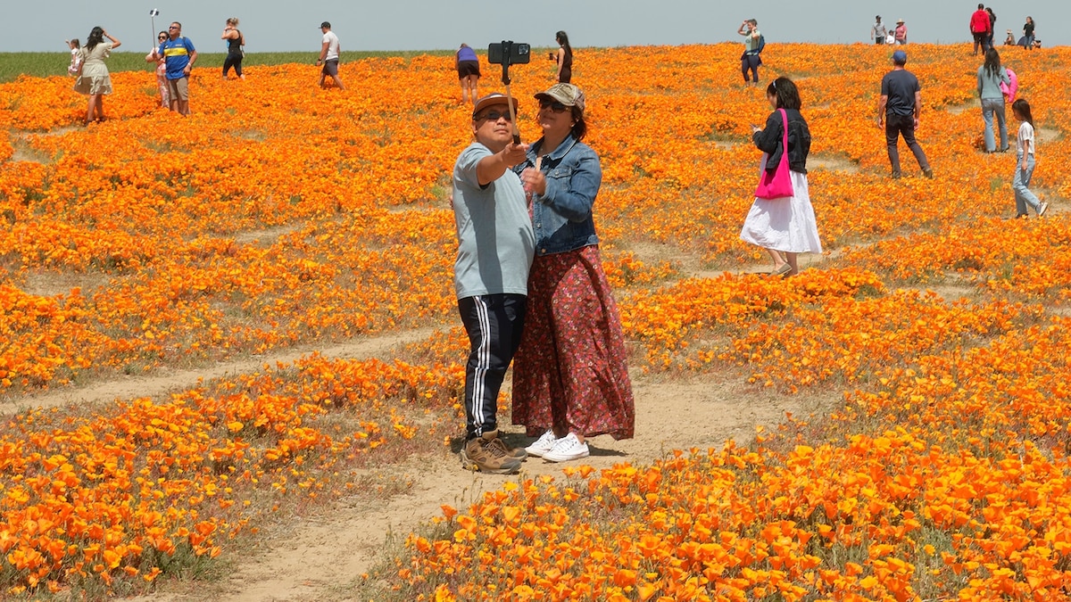 7 of the best U.S. state parks to visit in spring