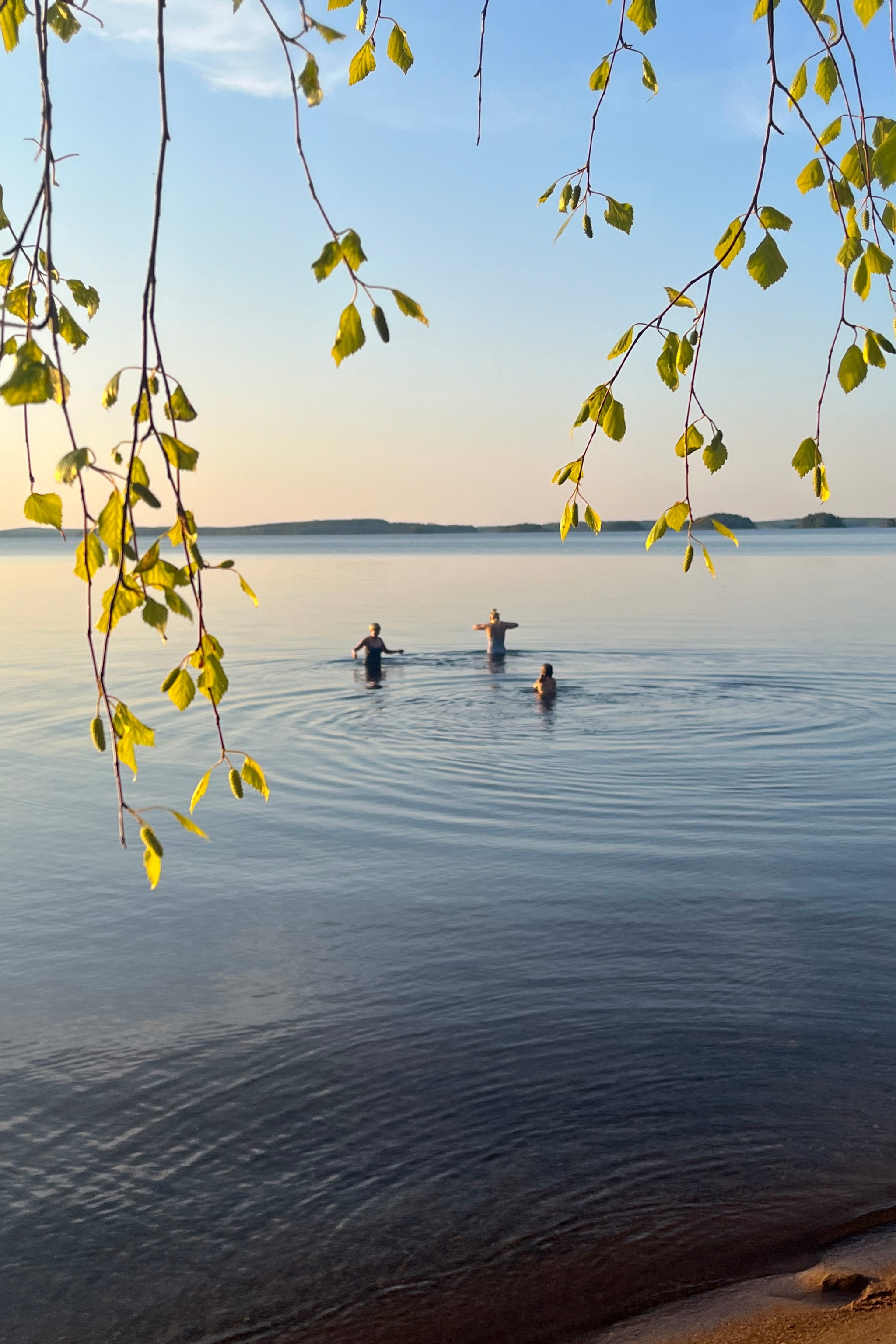 Three people swim in Lake Saimaa