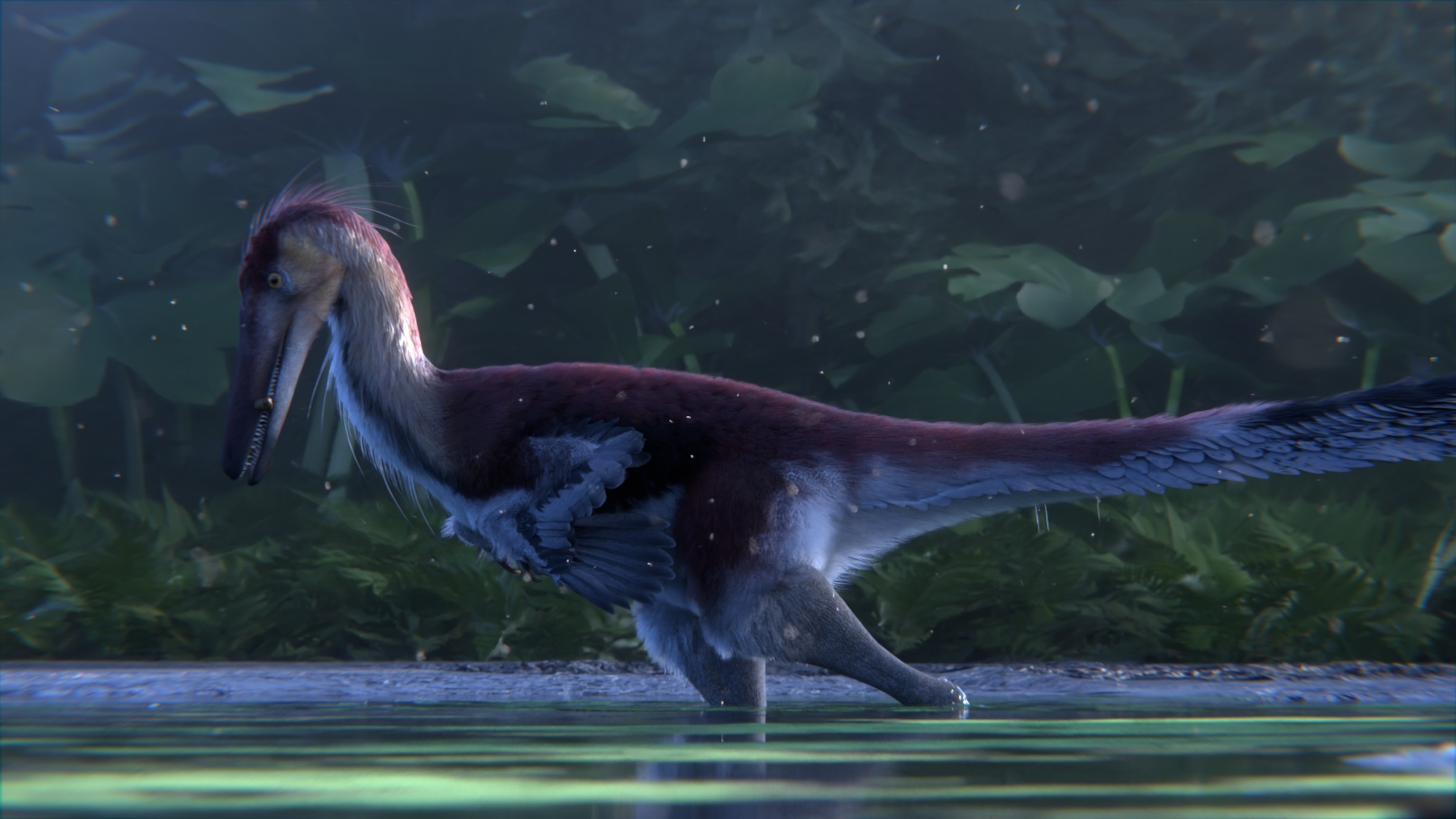 A prehistoric bird-like dinosaur, with red and white feathers, wading through a shallow pond surrounded by lush green foliage