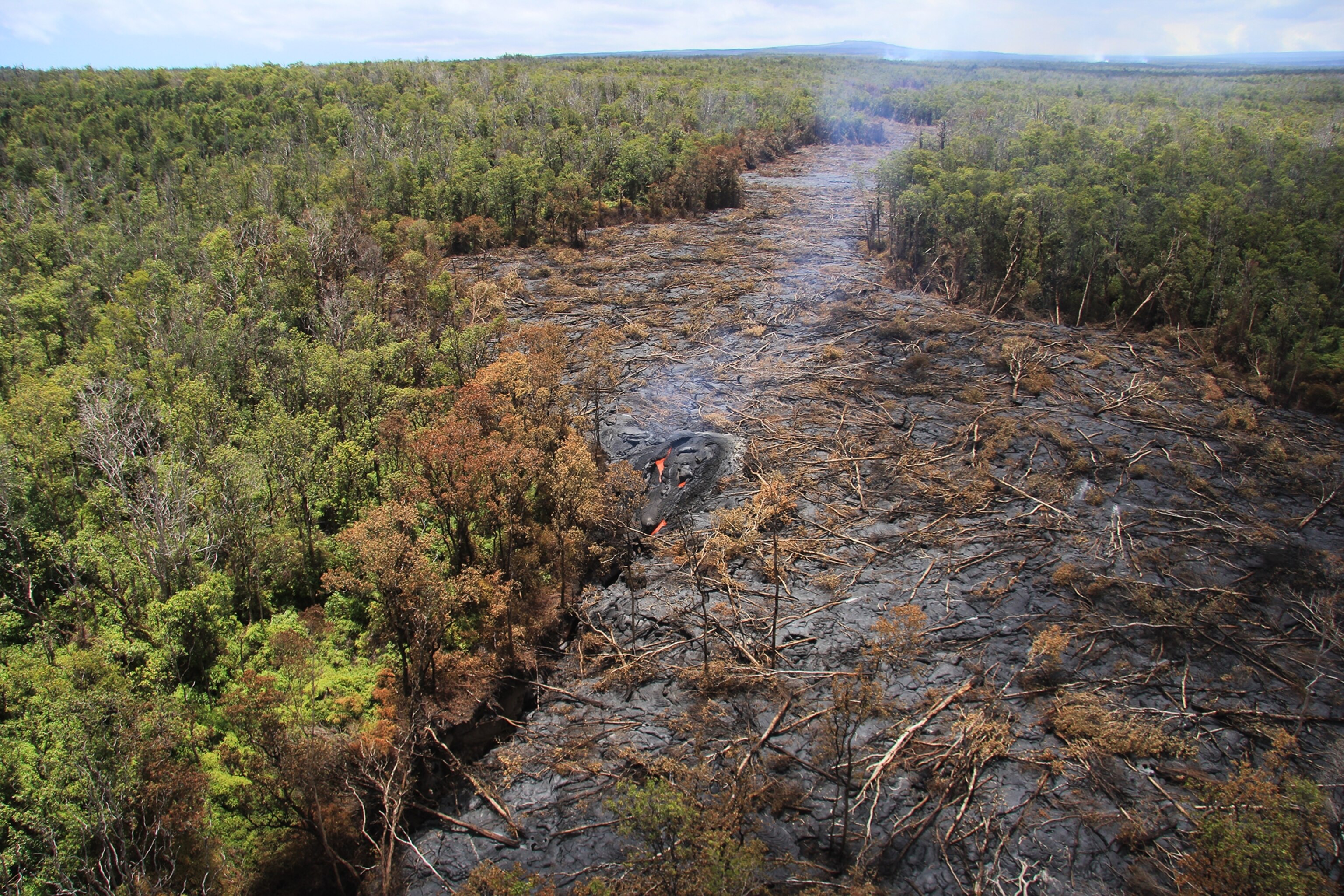 The June 27th lava flow remains active and continues advancing towards the northeast on Sept. 15, 2014.